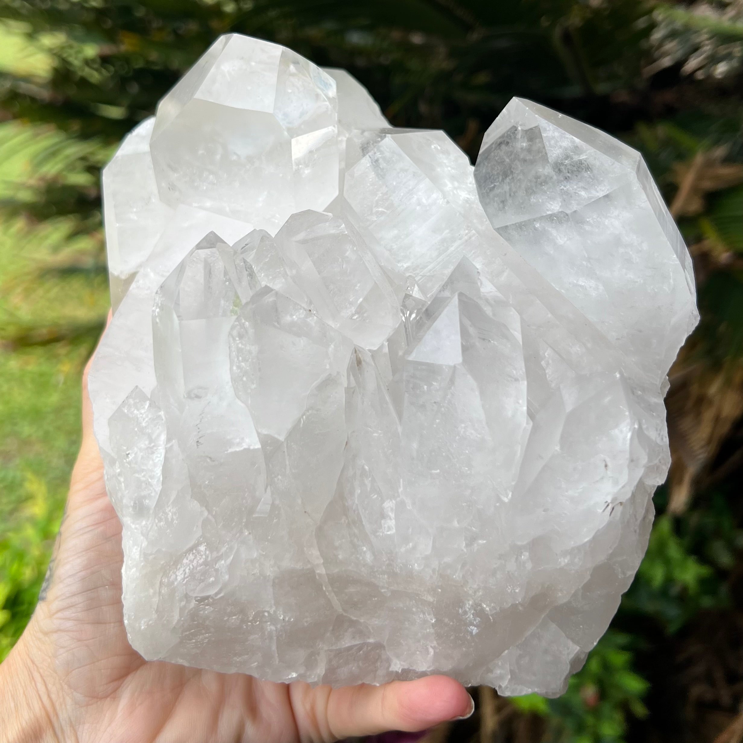 Clear Quartz Raw Cluster