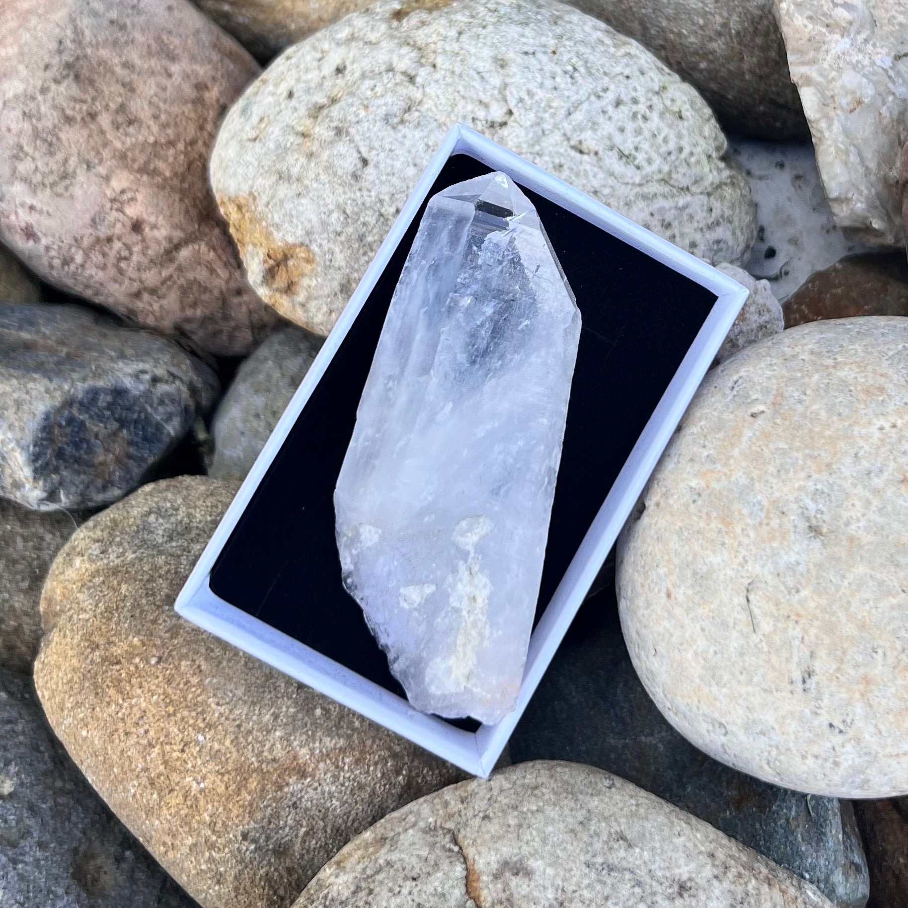 Raw Lumerian Seed Specimen~ Specialty Boxed Crystal