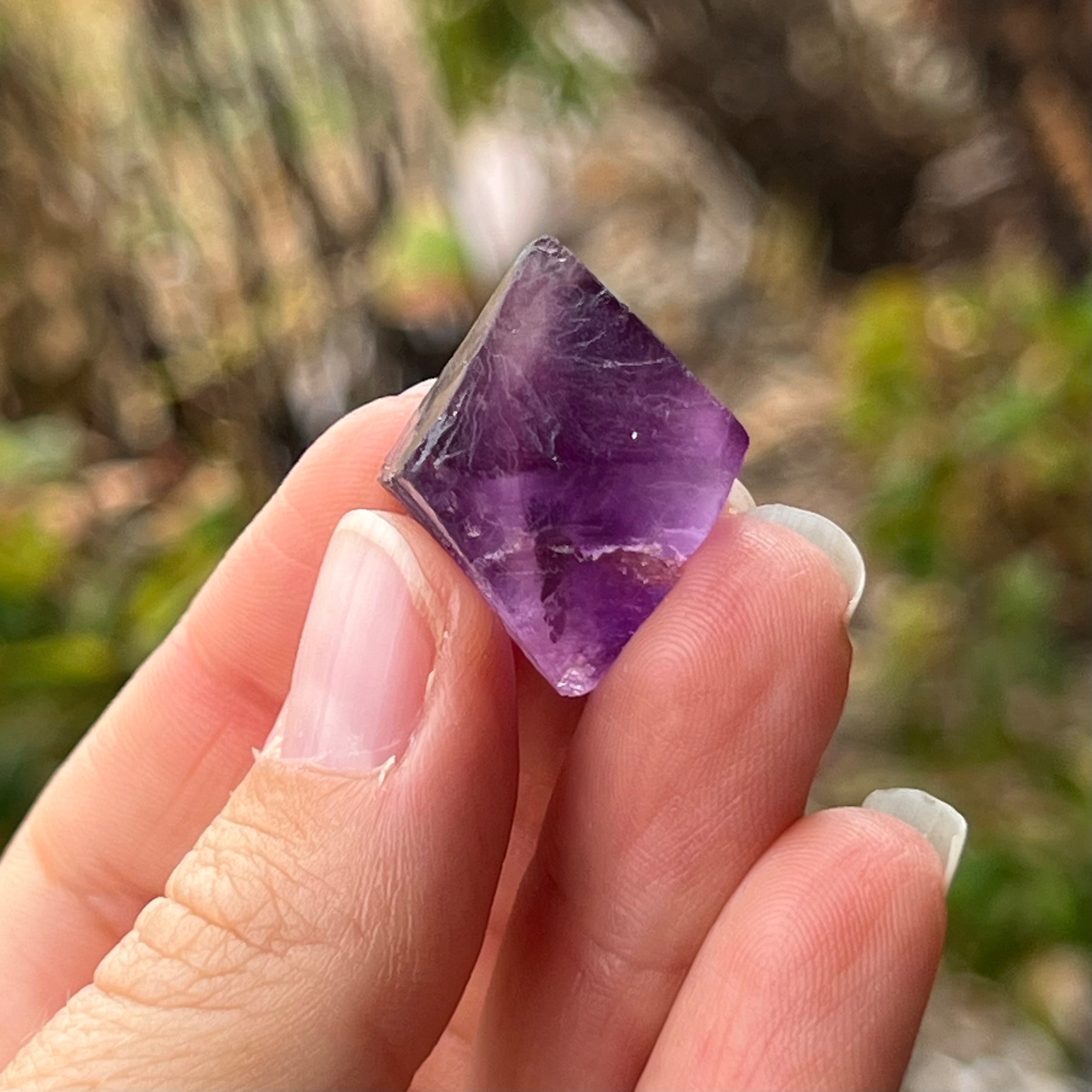 Fluorite ~ Specialty Boxed Crystal