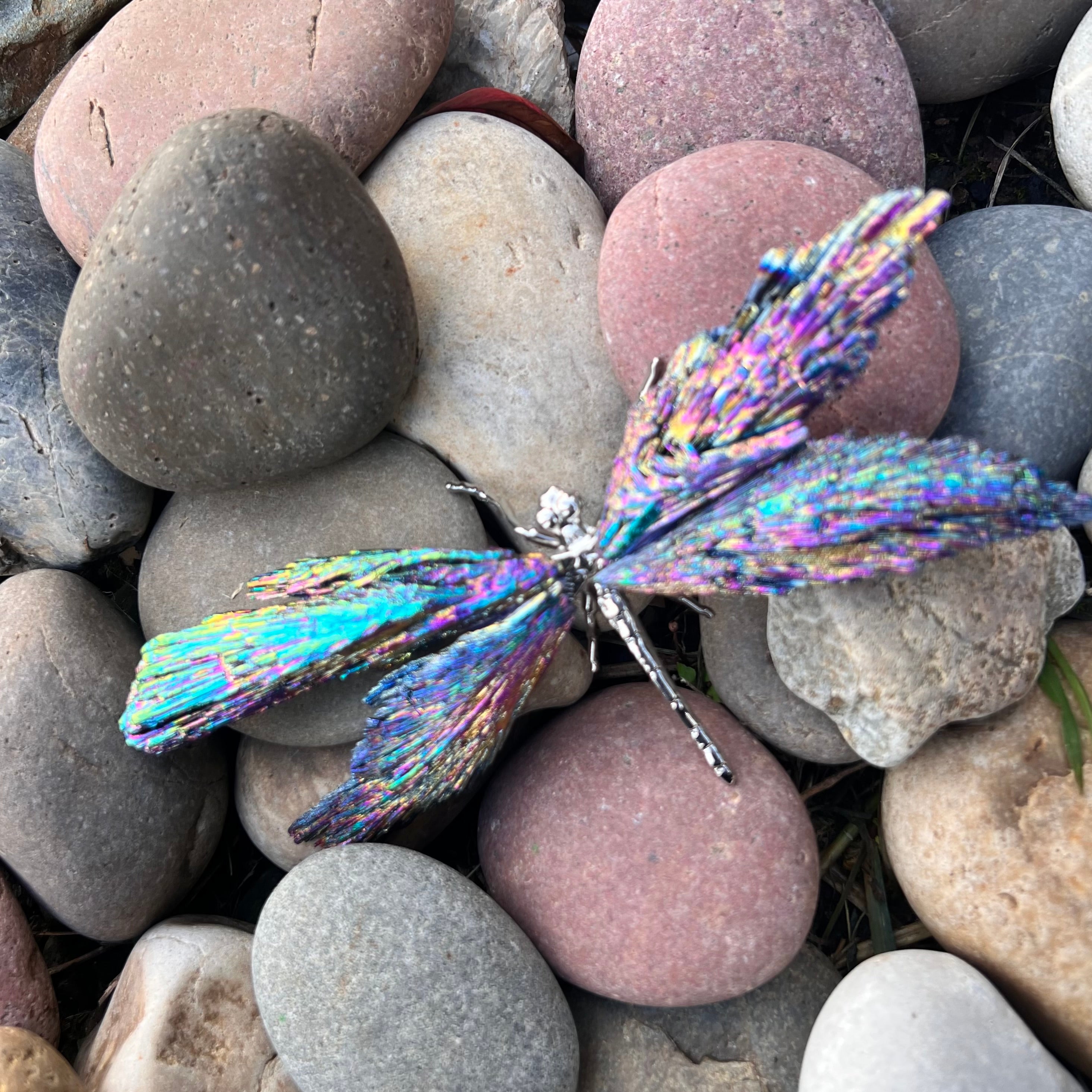 Dragon Fly ~ Rainbow Kyanite Electroplate