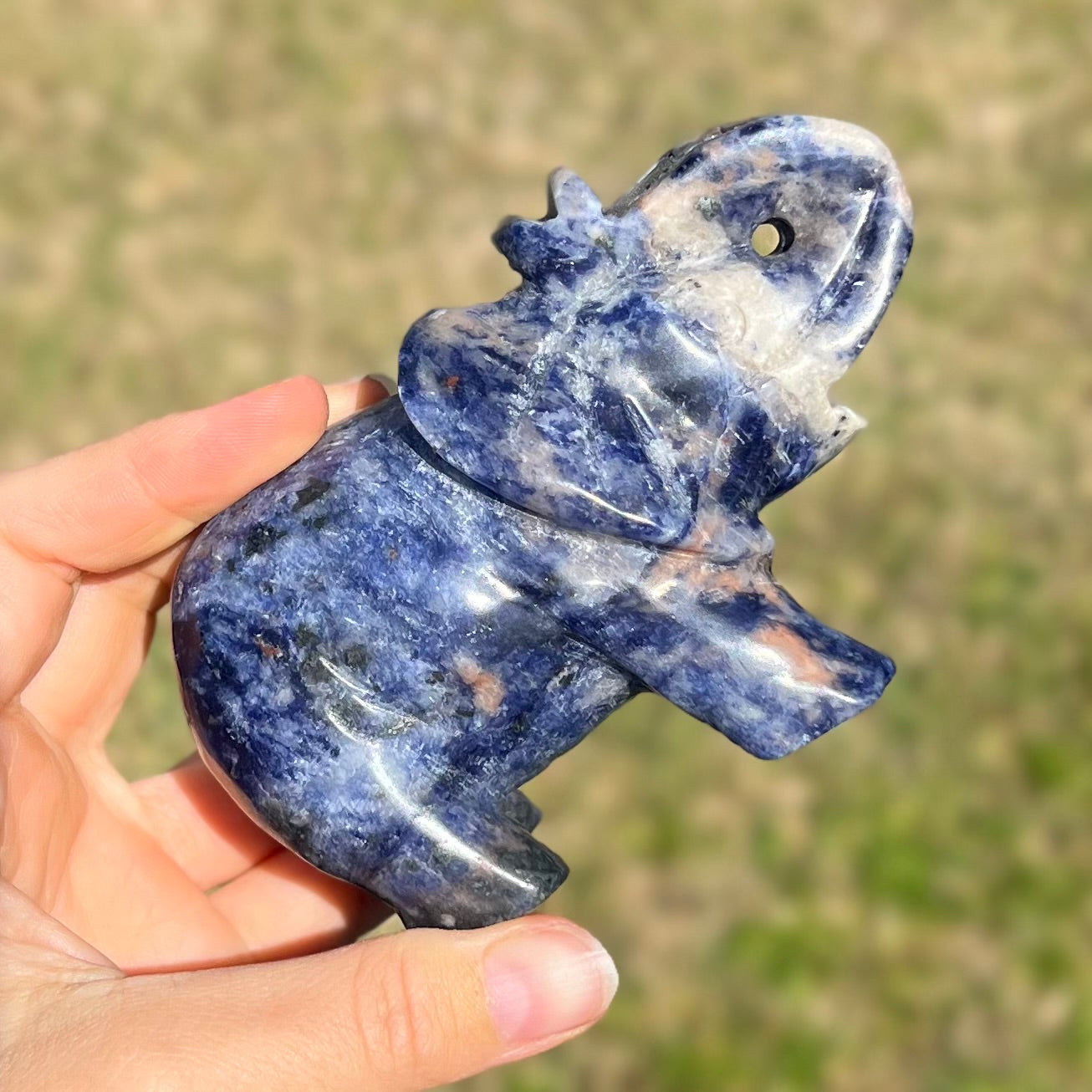 Lucky Elephant ~ Sodalite