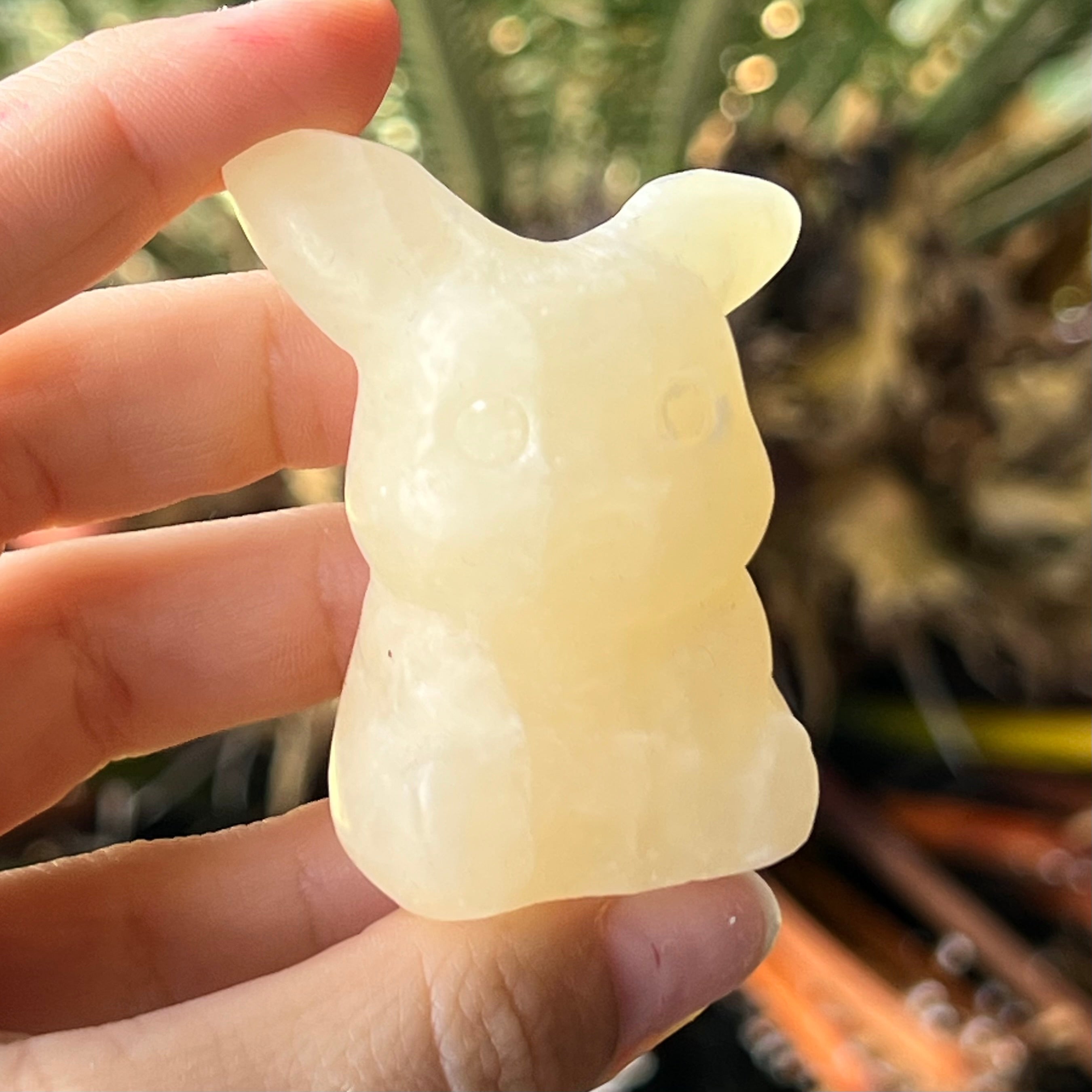 Assorted Pokémon Crystal Set