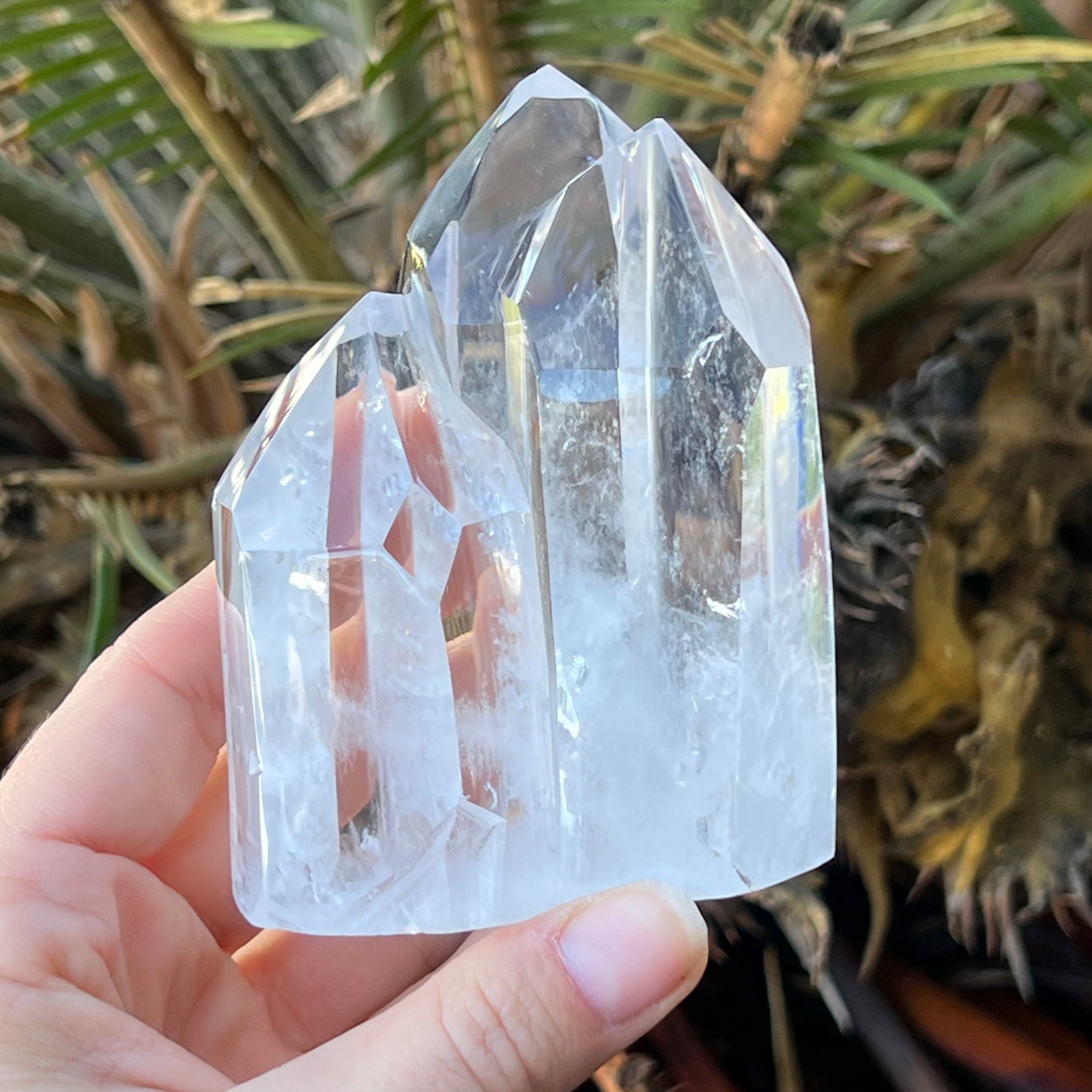 Clear Quartz Family Cluster