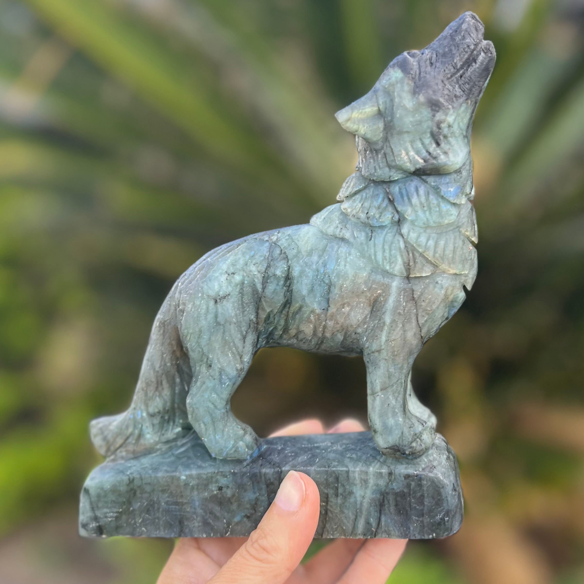 Labradorite ~ Wolf Carving ~ Medium
