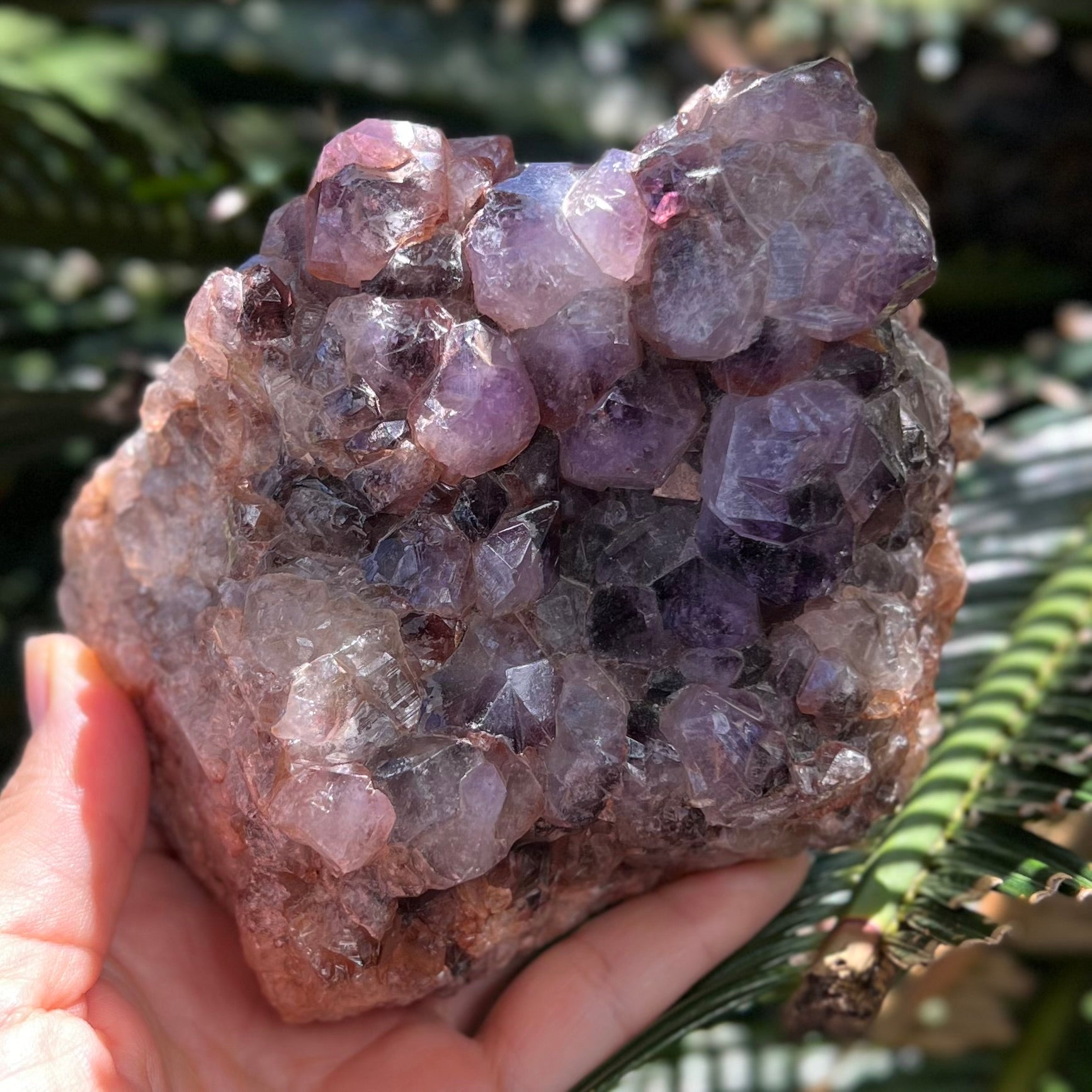 Amethyst Cluster