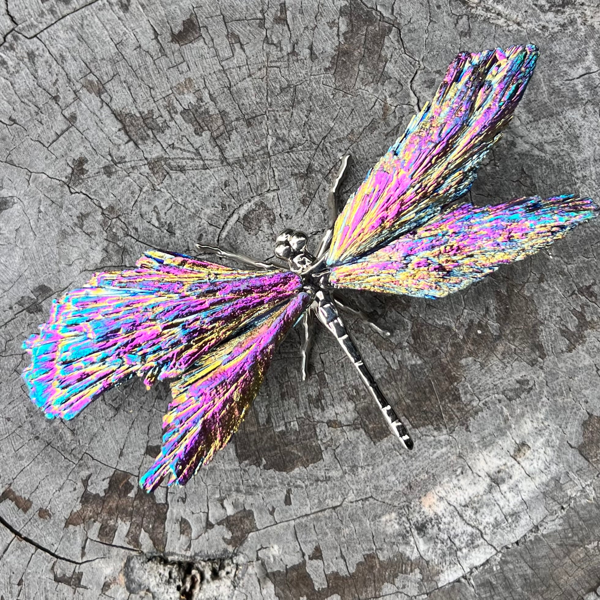 Dragon Fly ~ Rainbow Kyanite Electroplate
