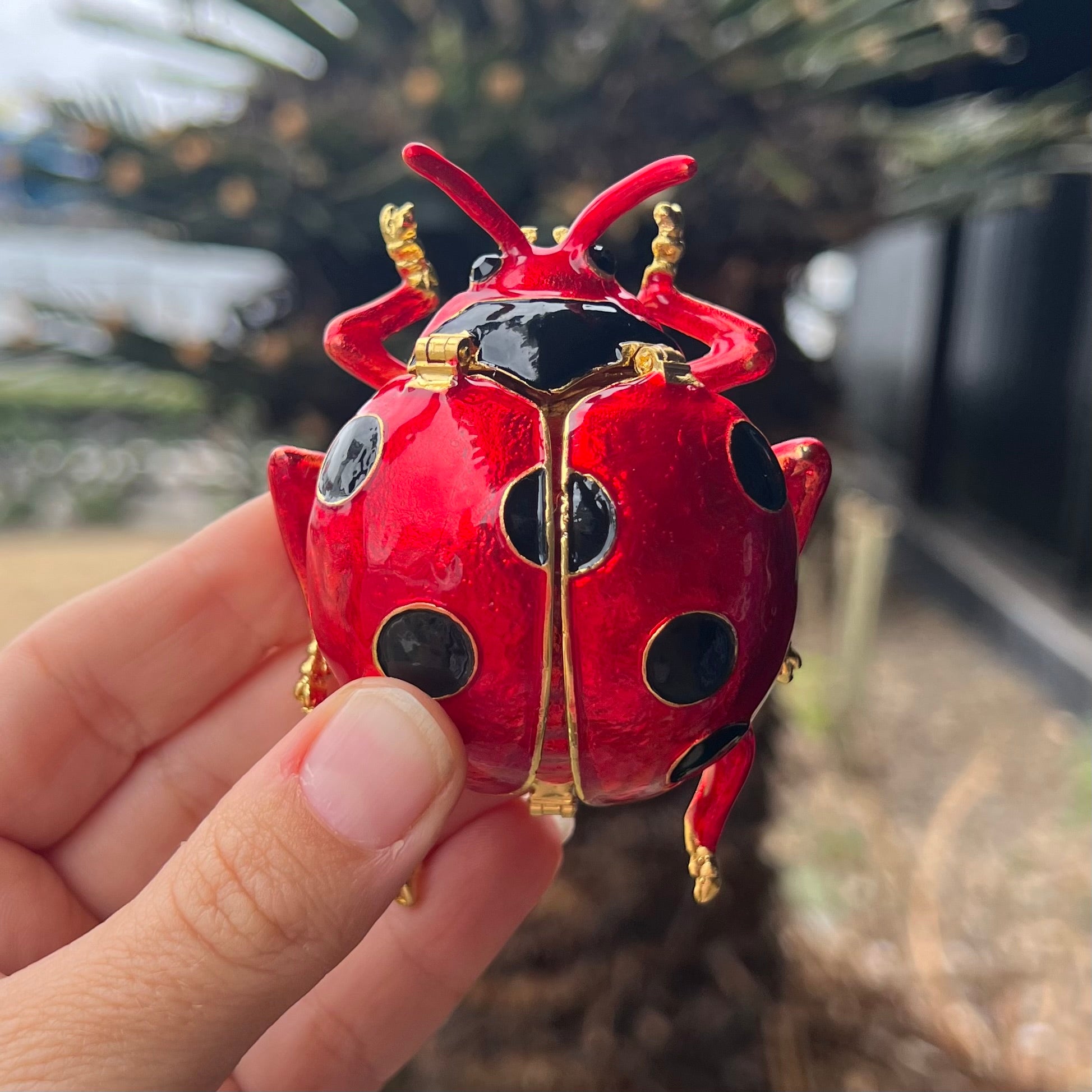 Ladybug ~ Trinket Box