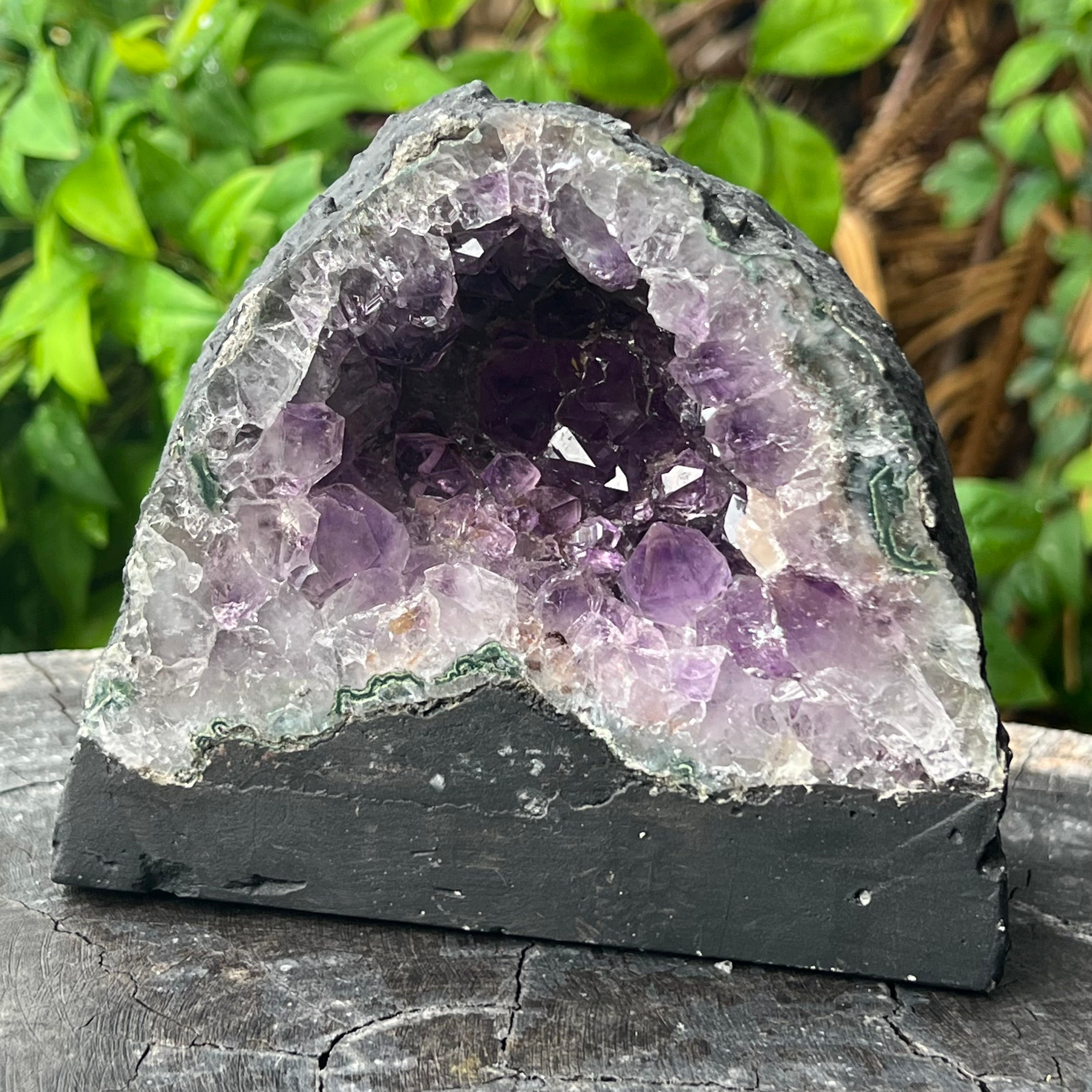 Amethyst Standing Cluster