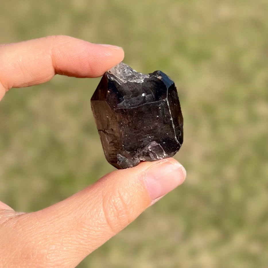 Super 7 ~ Raw Specimen ~ 2