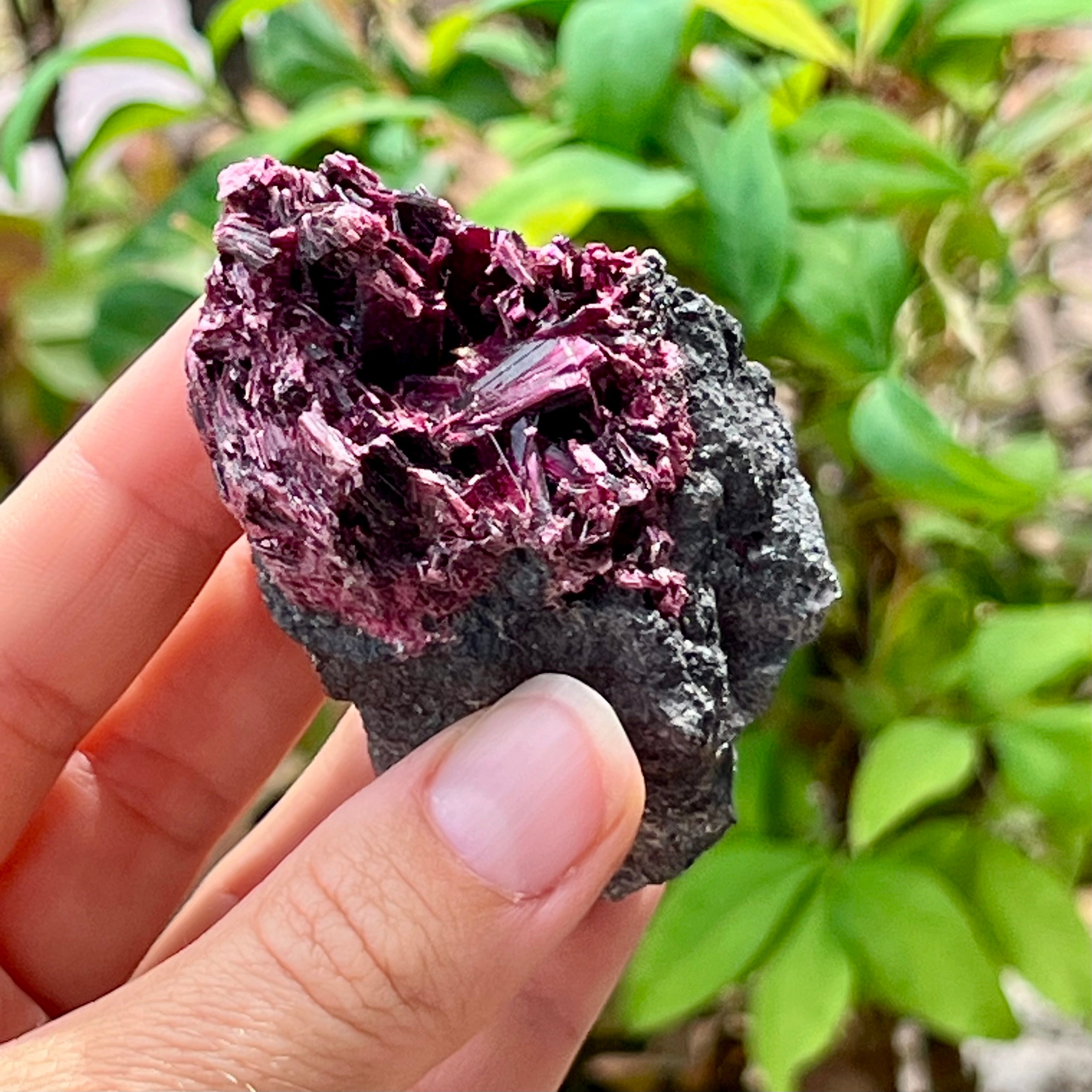 Red Cabalton Etherite ~ Vivianite From Marocco