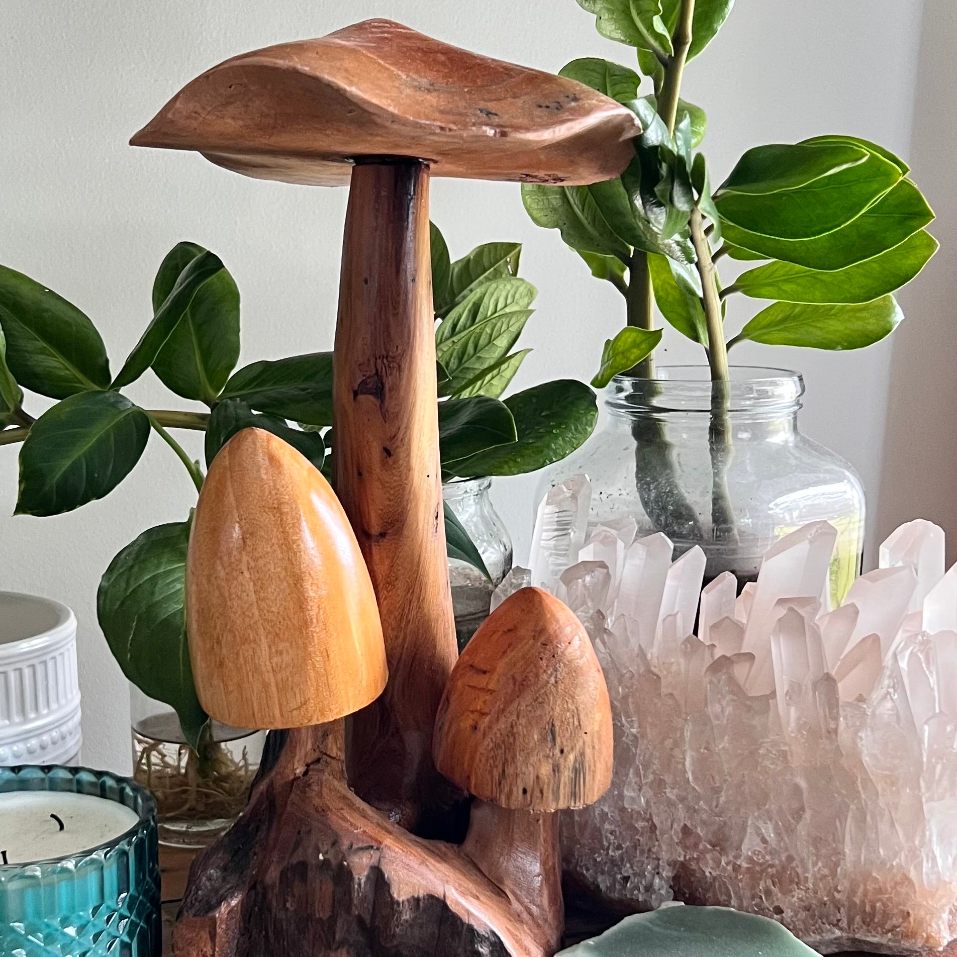 Mushroom Trio ~ Wood Carving