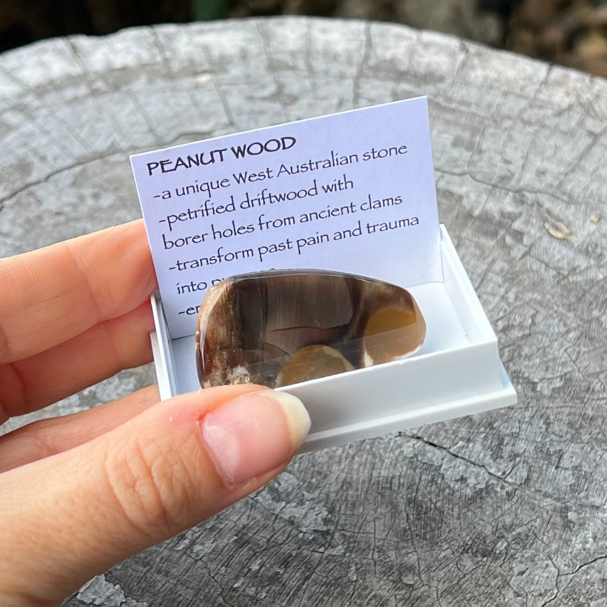 Peanut Wood ~ Specialty Boxed Crystal