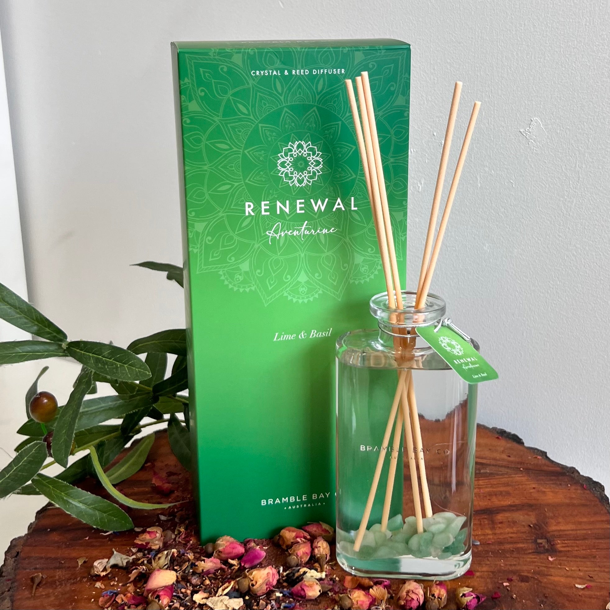 Boho Crystal Renewal Reed Diffuser ~ Aventurine ~
Lime & Basil