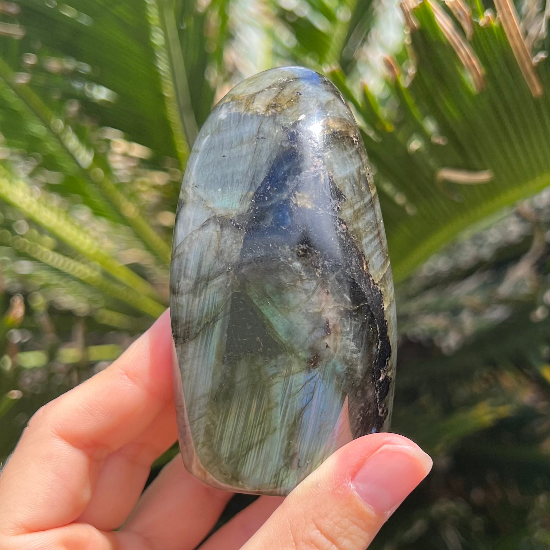 Labradorite Freeform