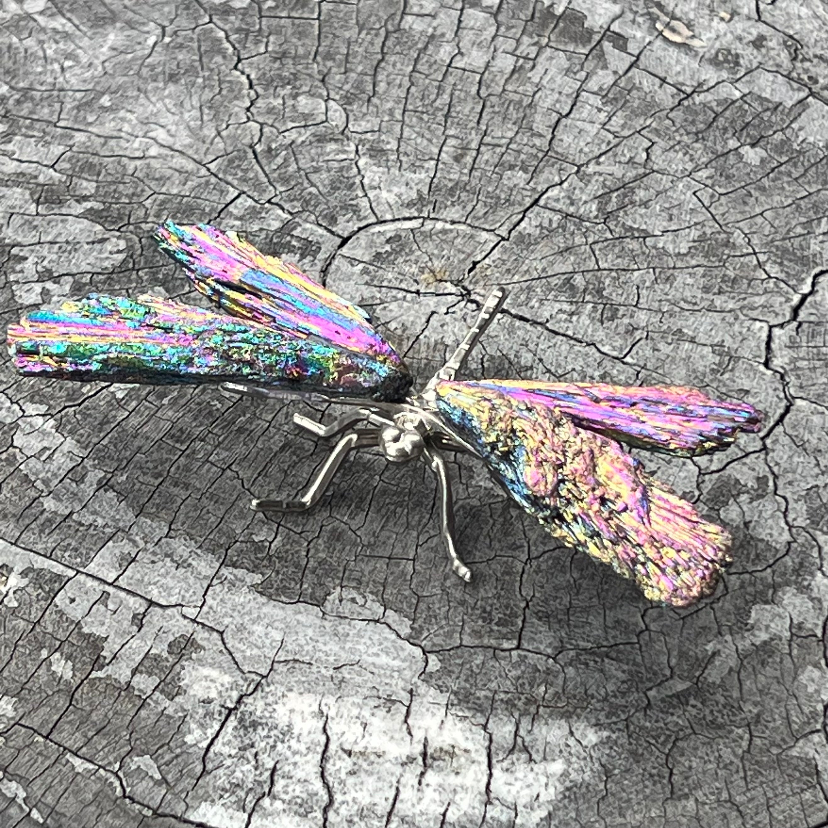 Dragon Fly ~ Rainbow Kyanite Electroplate