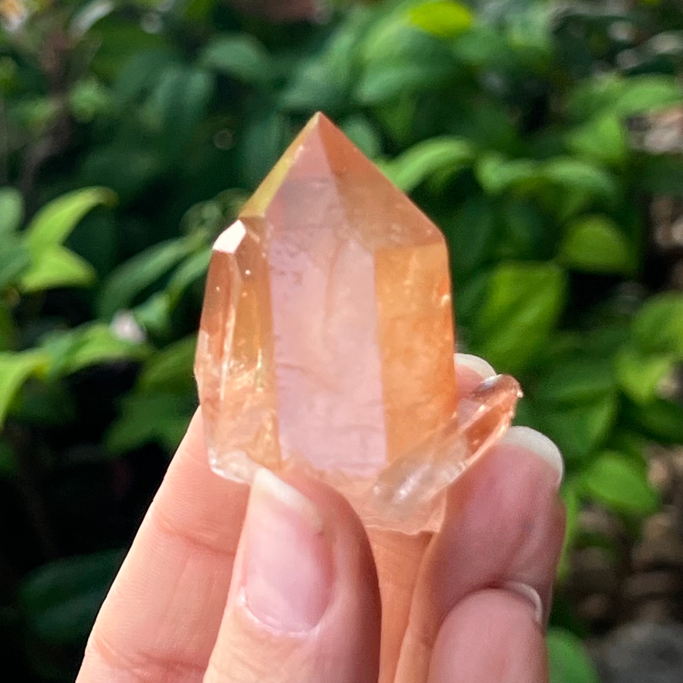 Tangerine Quartz ~ Specialty Boxed Crystal