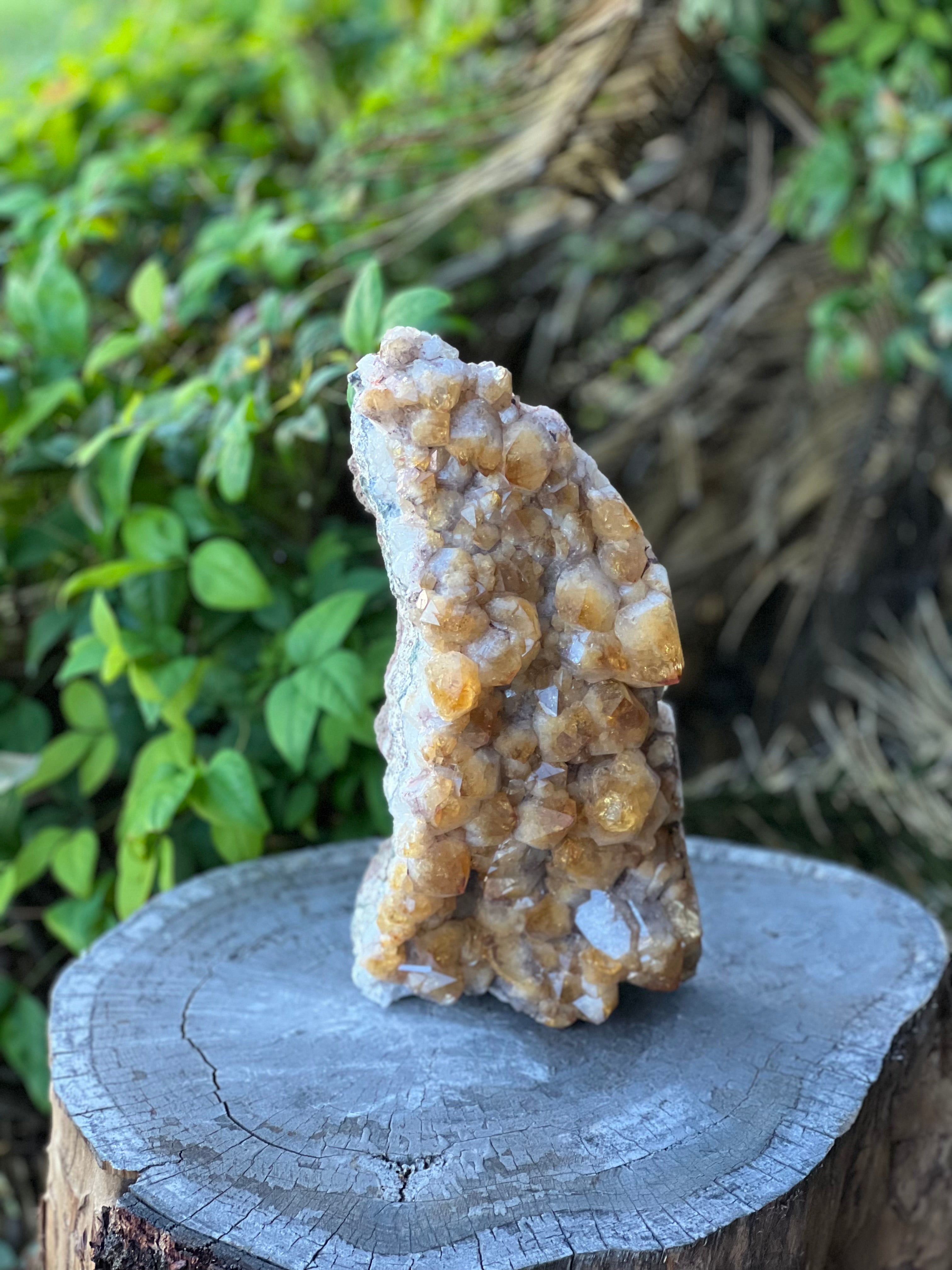 Citrine Raw Standing Cluster