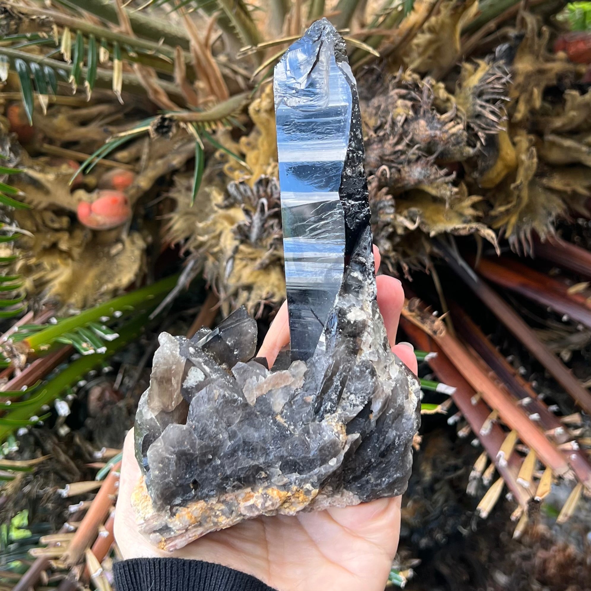 Natural Smoky Lemurian Quartz Cluster