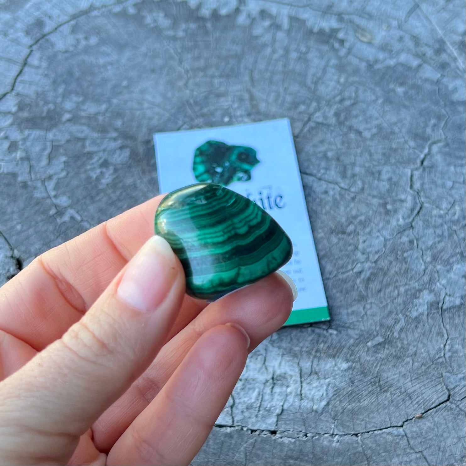 Malachite ~ Specialty Boxed Crystal