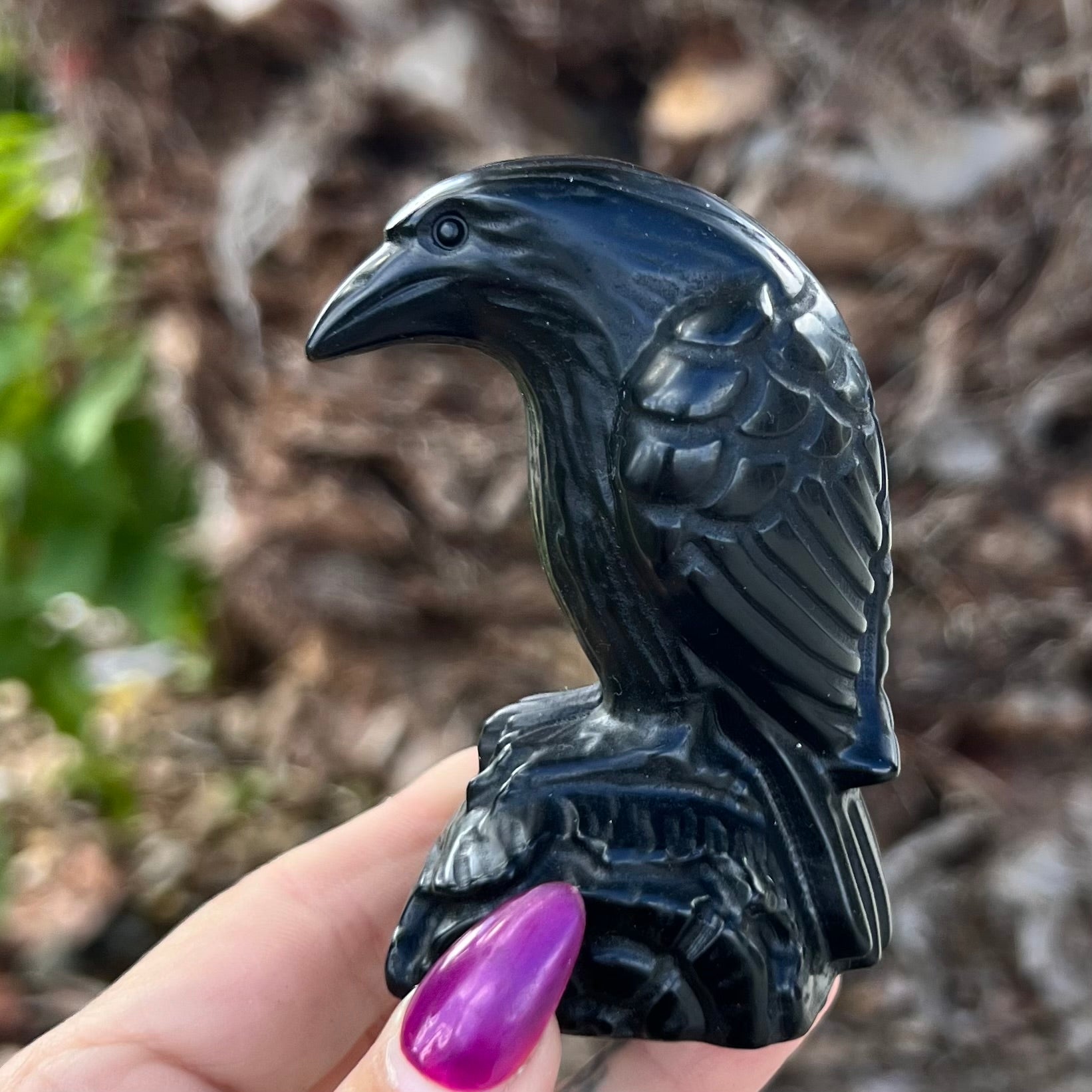 Black Obsidian Raven Carving Medium