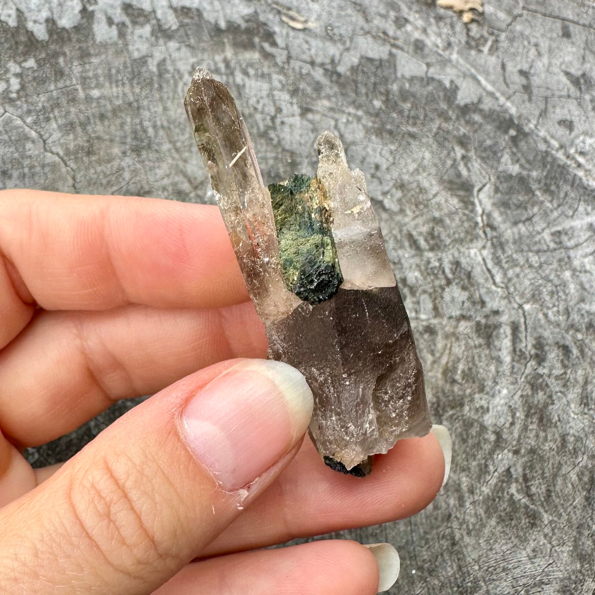 Smokey Quartz ~ Specialty Boxed Crystal