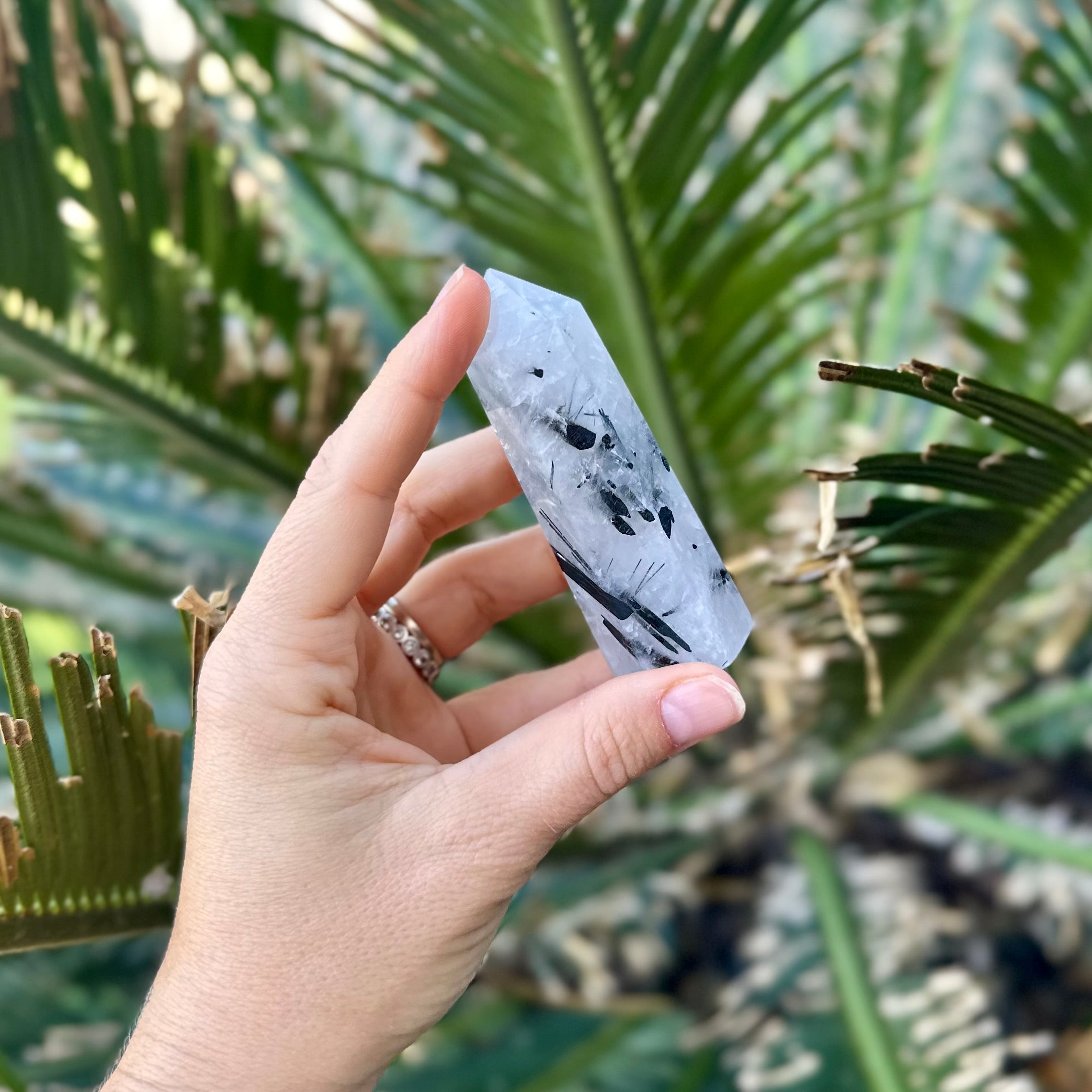 Black Tourmaline in Clear Protective Generator Quartz Tower