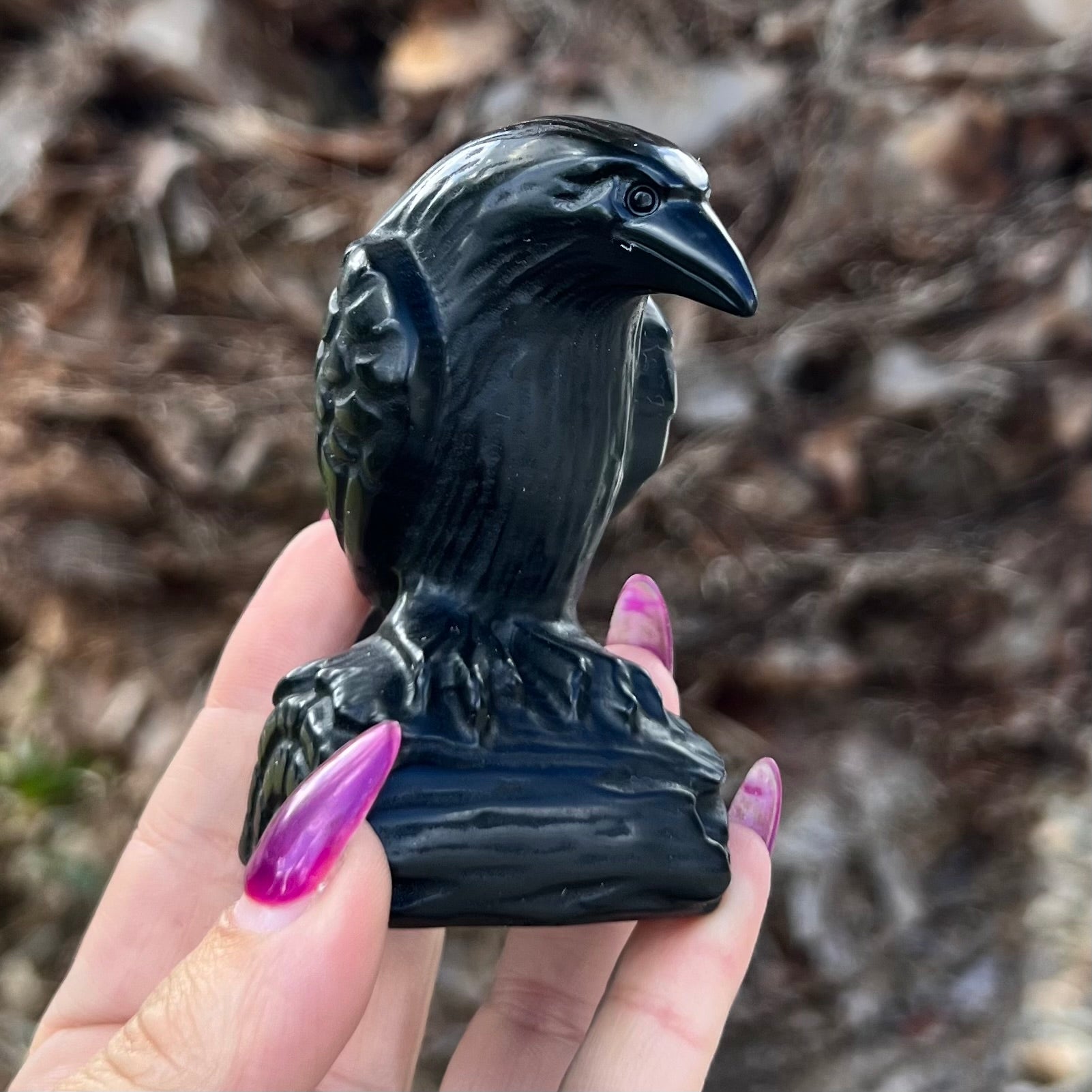 Black Obsidian Raven Carving Medium