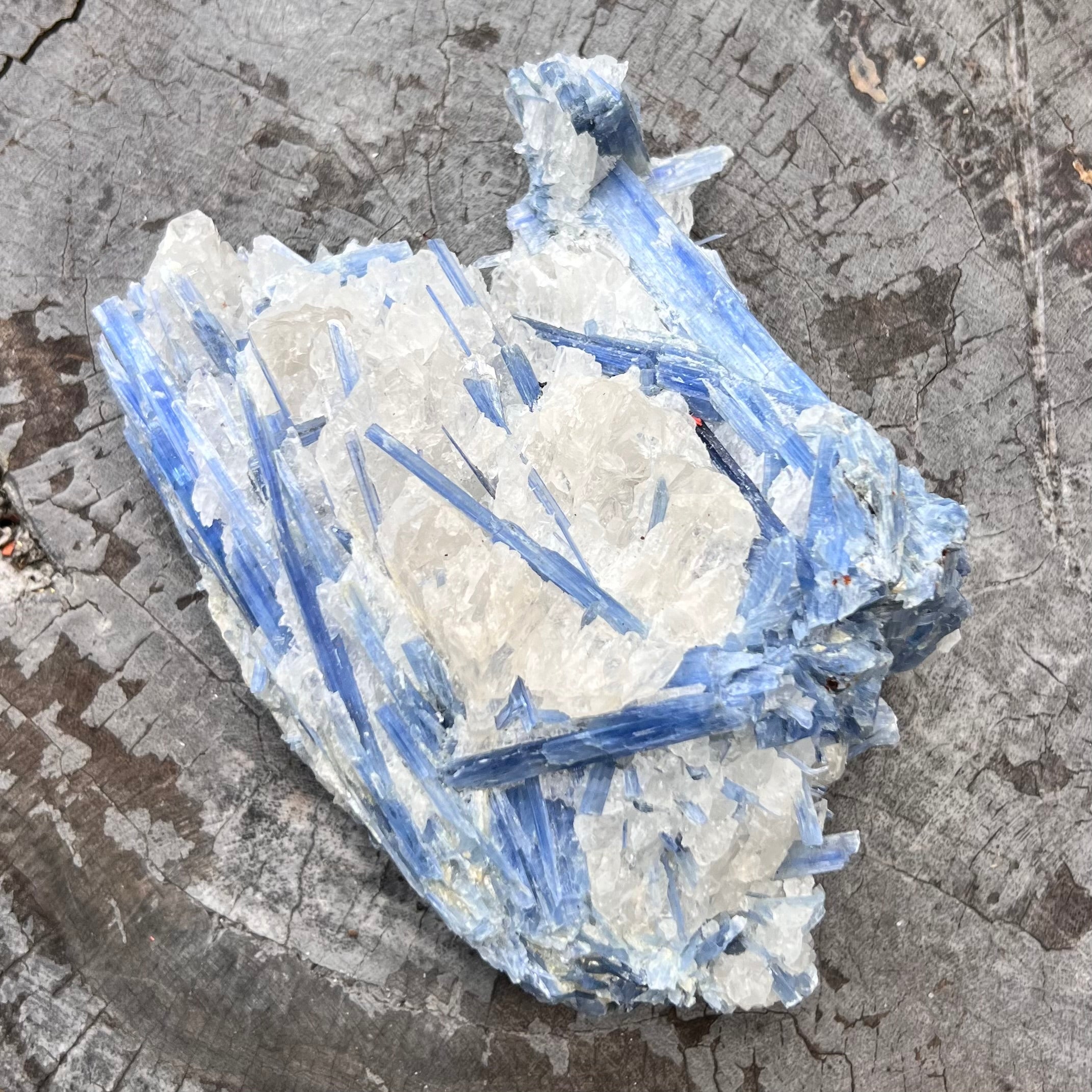 Natural Blue Kyanite with Quartz on Matrix