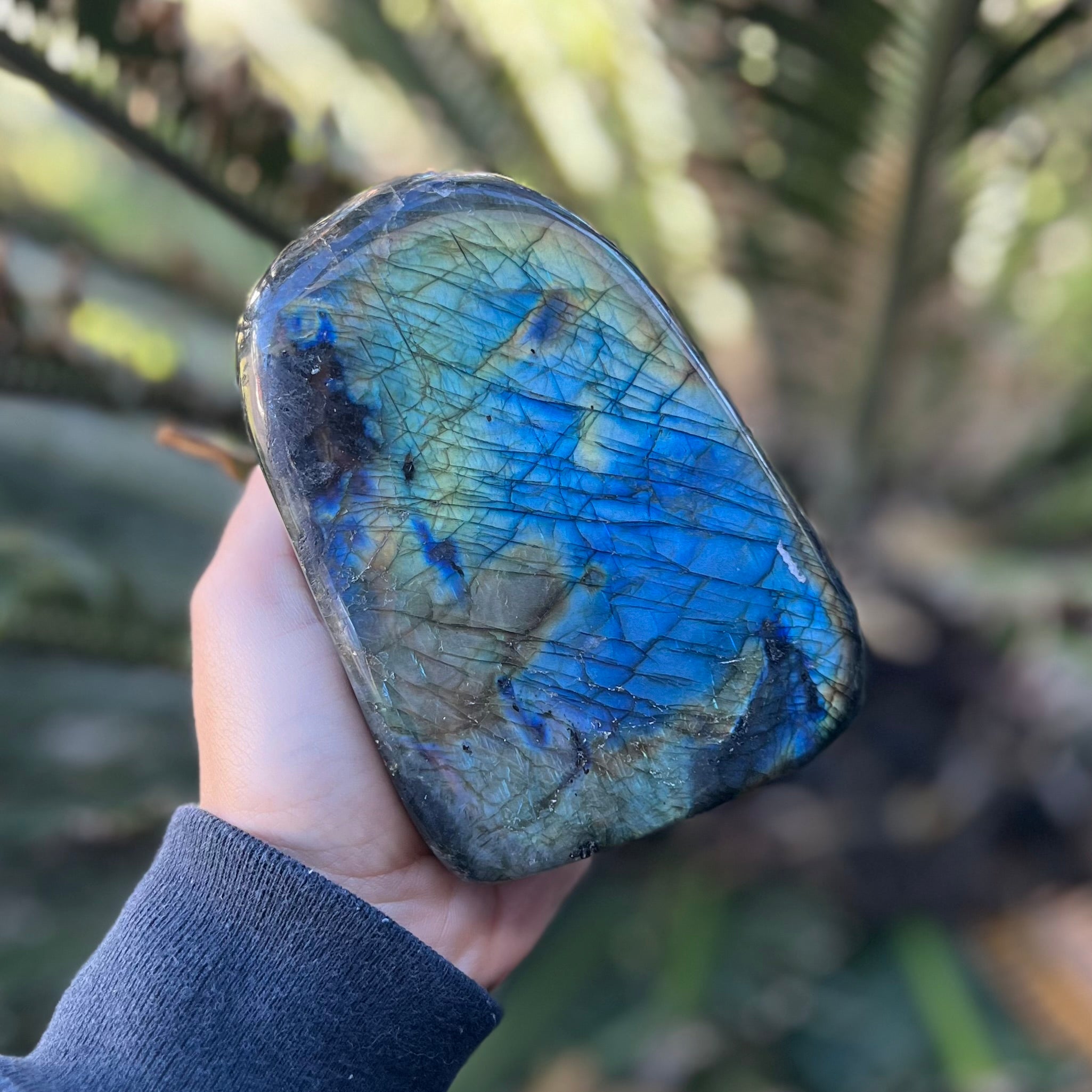 Labradorite Freeform