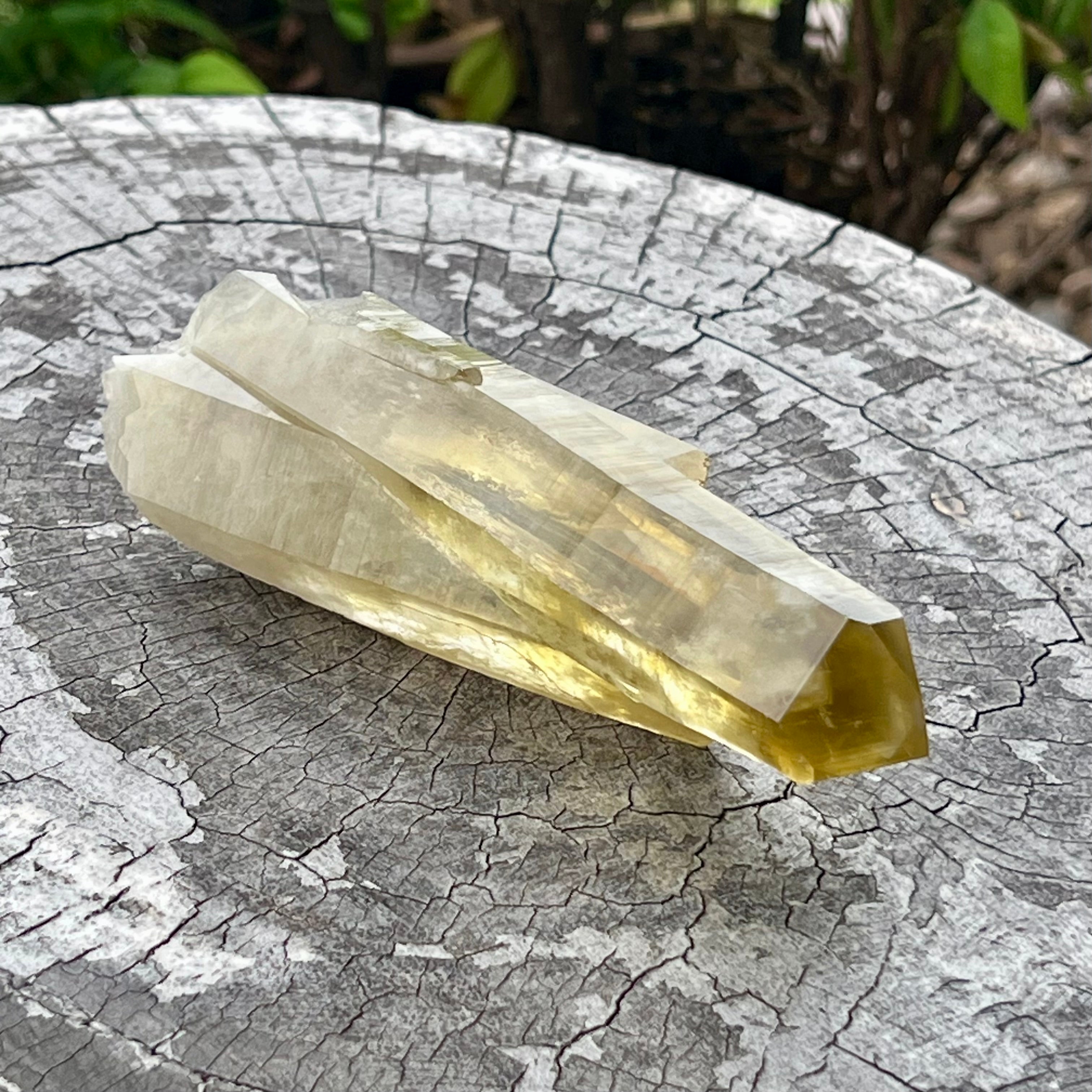 Citrine ~ Natural Cluster