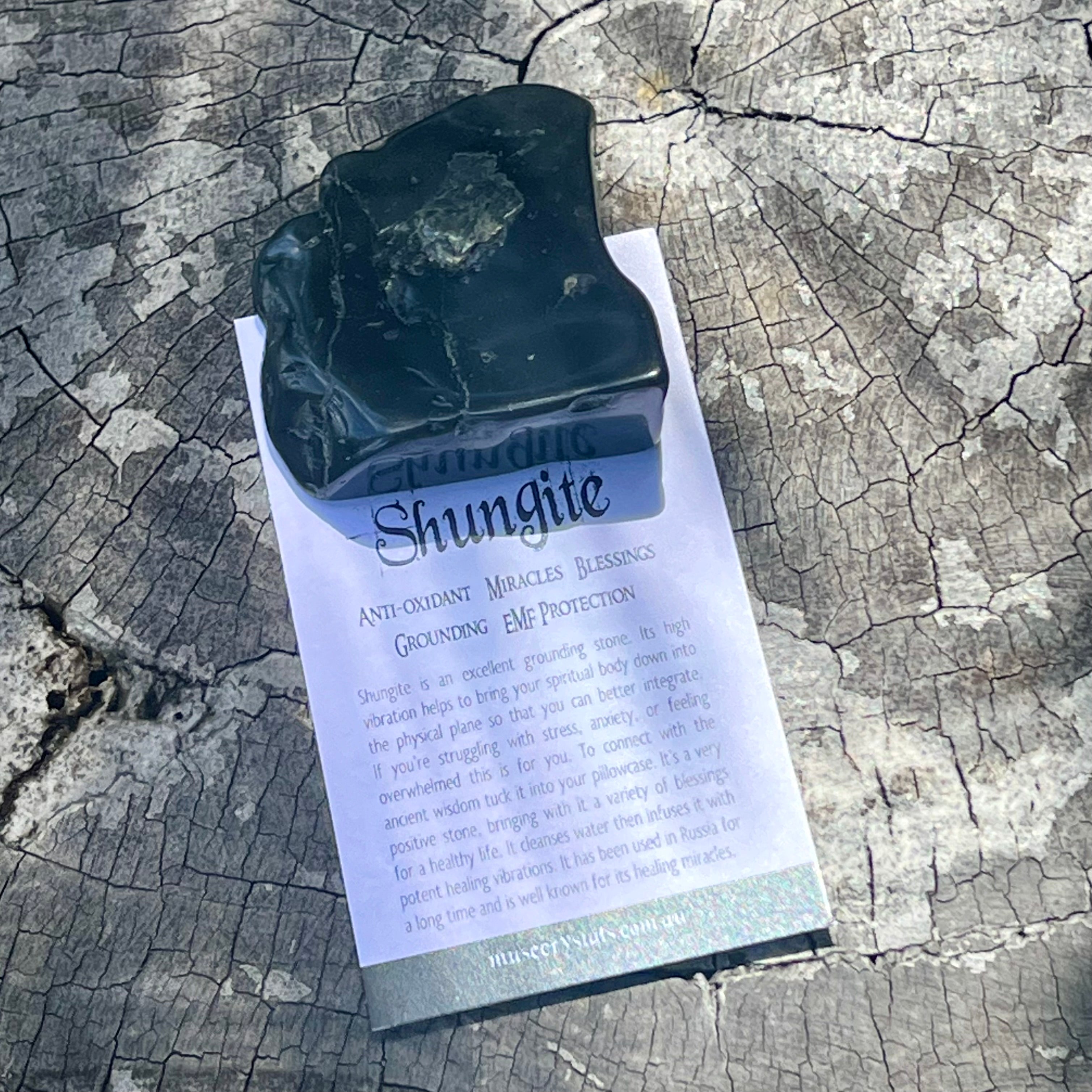 Shungite Piece