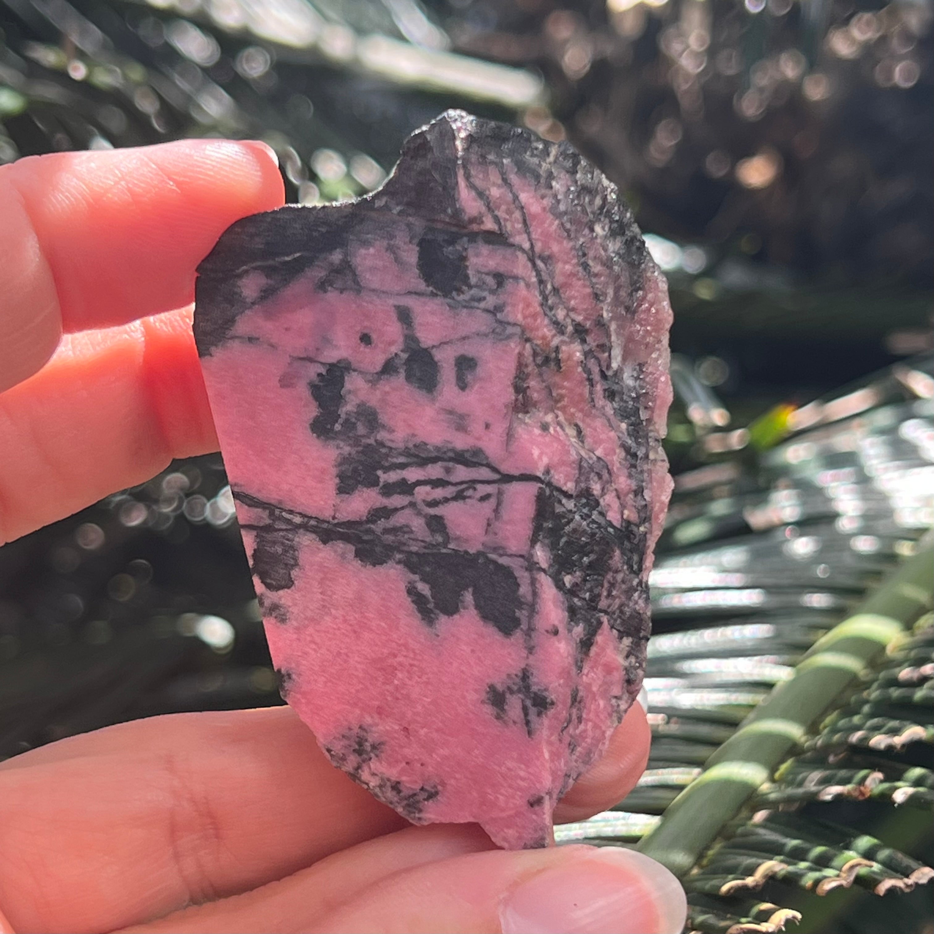 Rhodonite Raw Specimen