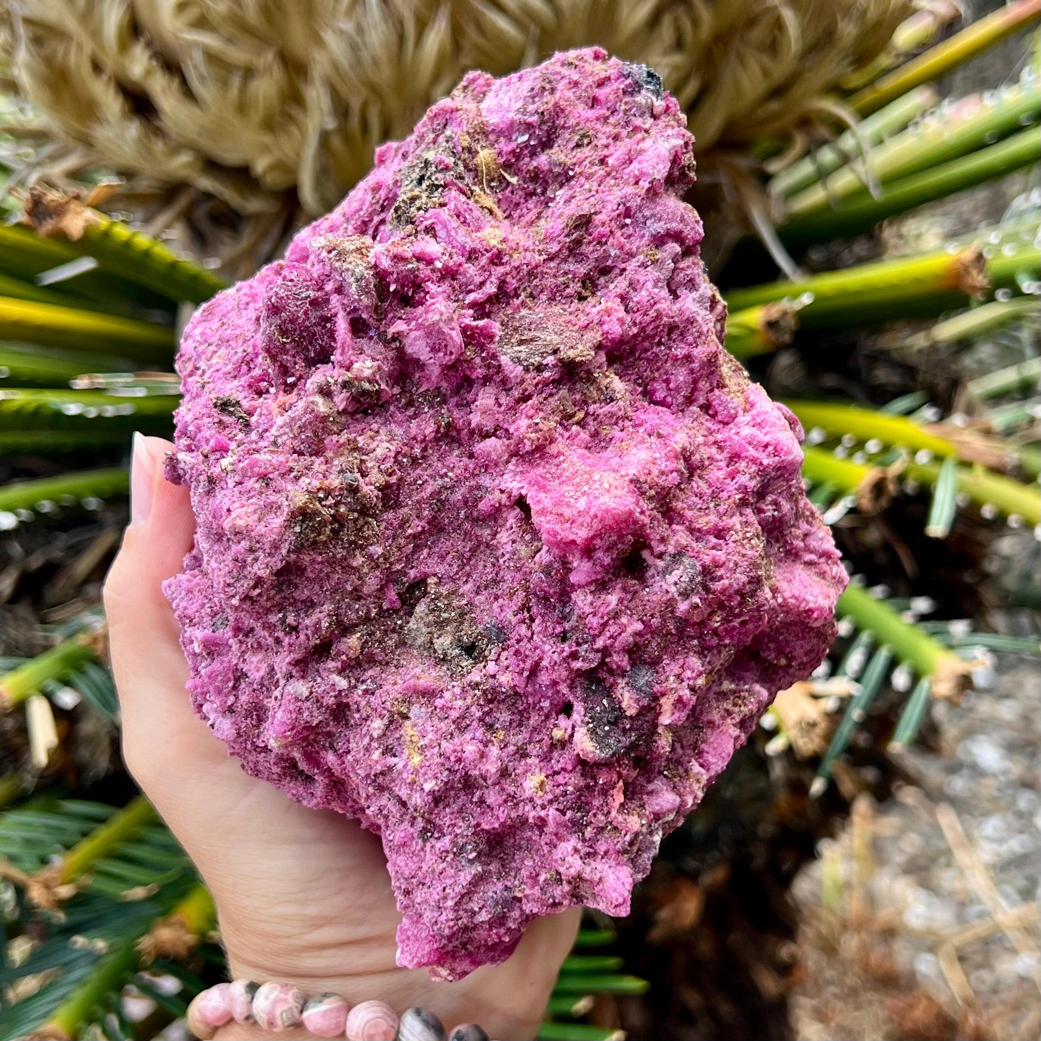 Glorious Ruby with Pyrite Specimen
