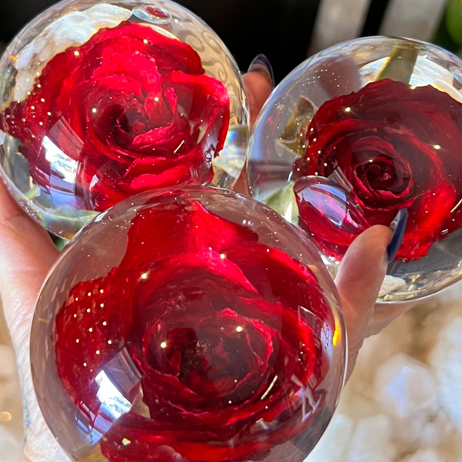 Red Rose Everlasting Flower Sphere