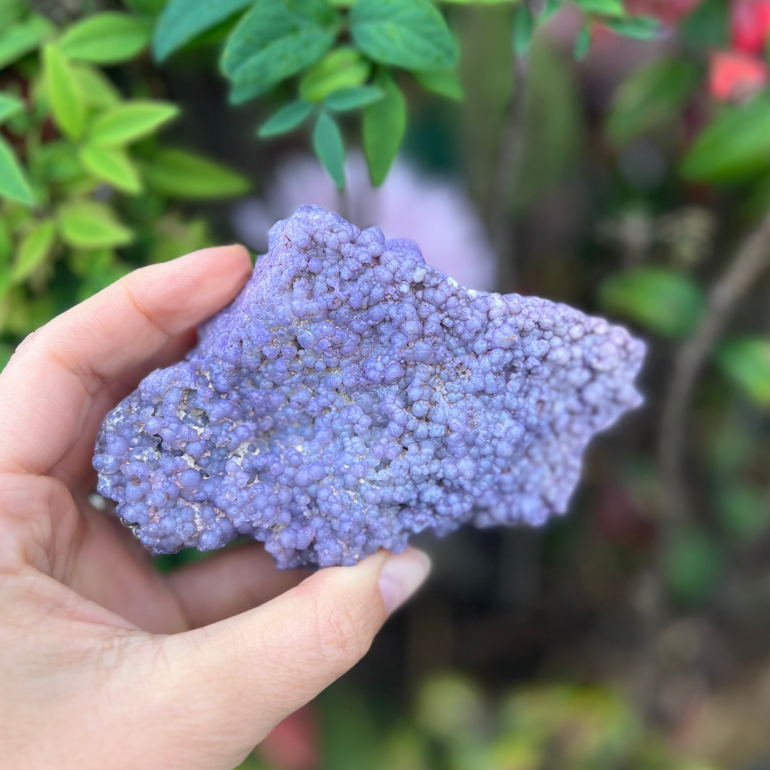 Grape Agate Specimen