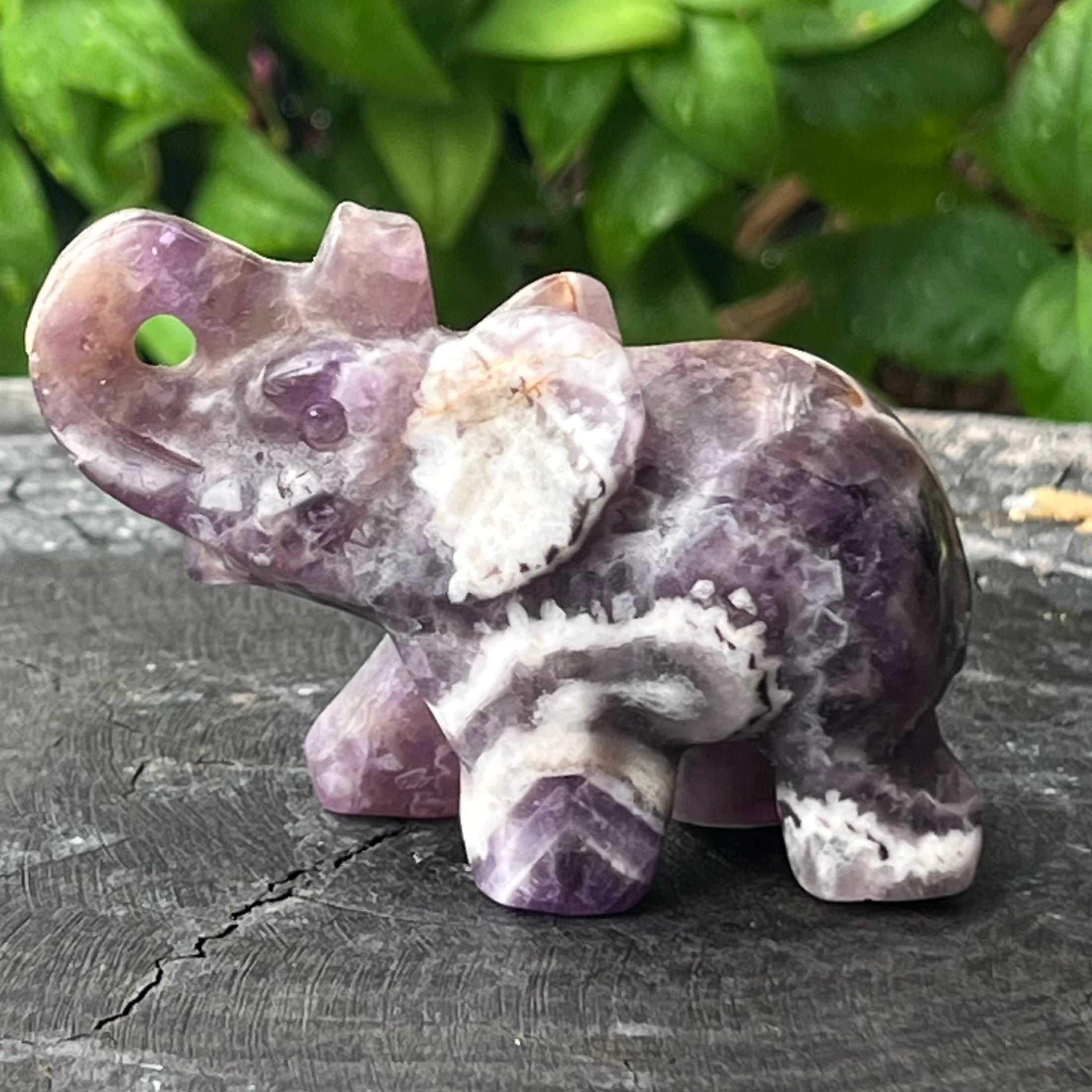Lucky Elephant ~ Amethyst