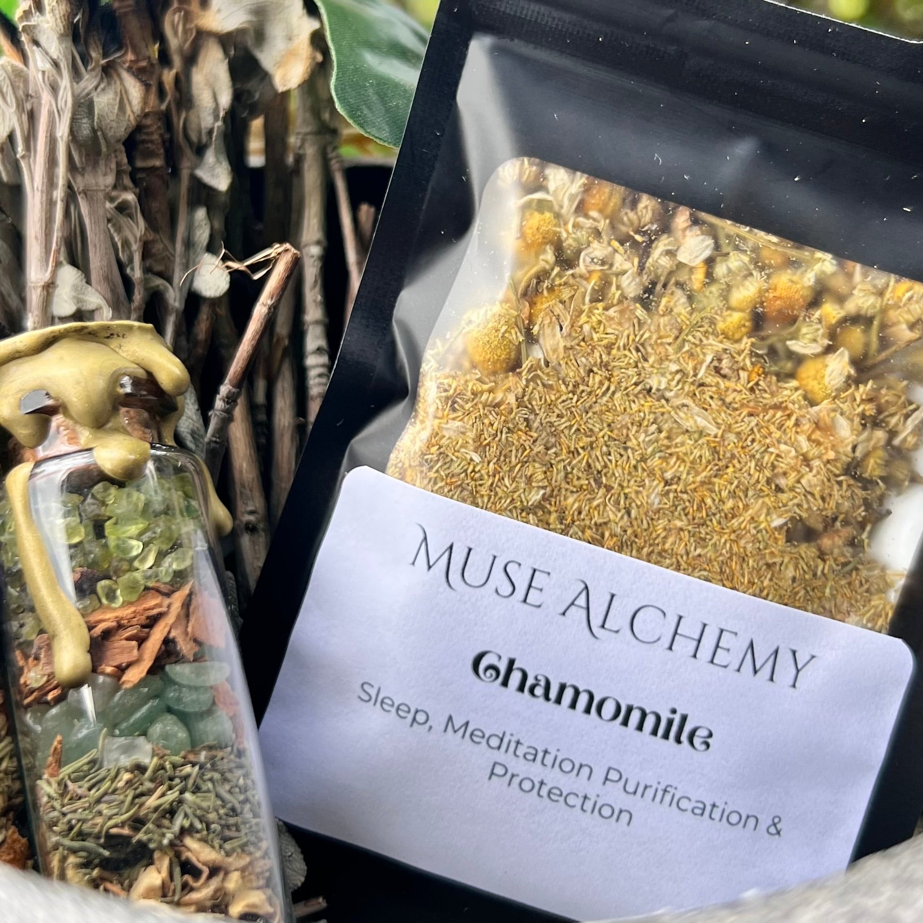 Chamomile ~ Muse Alchemy Botanicals