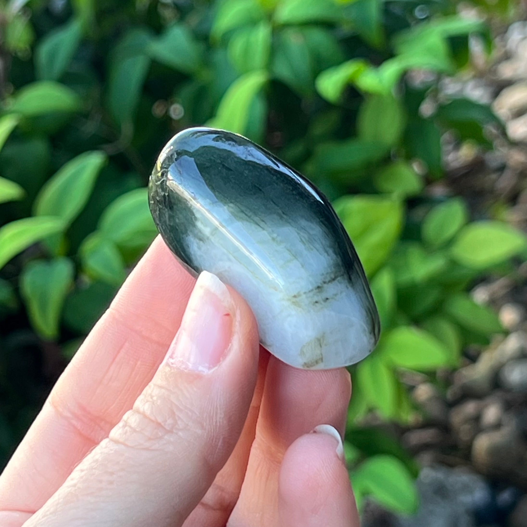 Burma Jade ~ Specialty Boxed Crystal