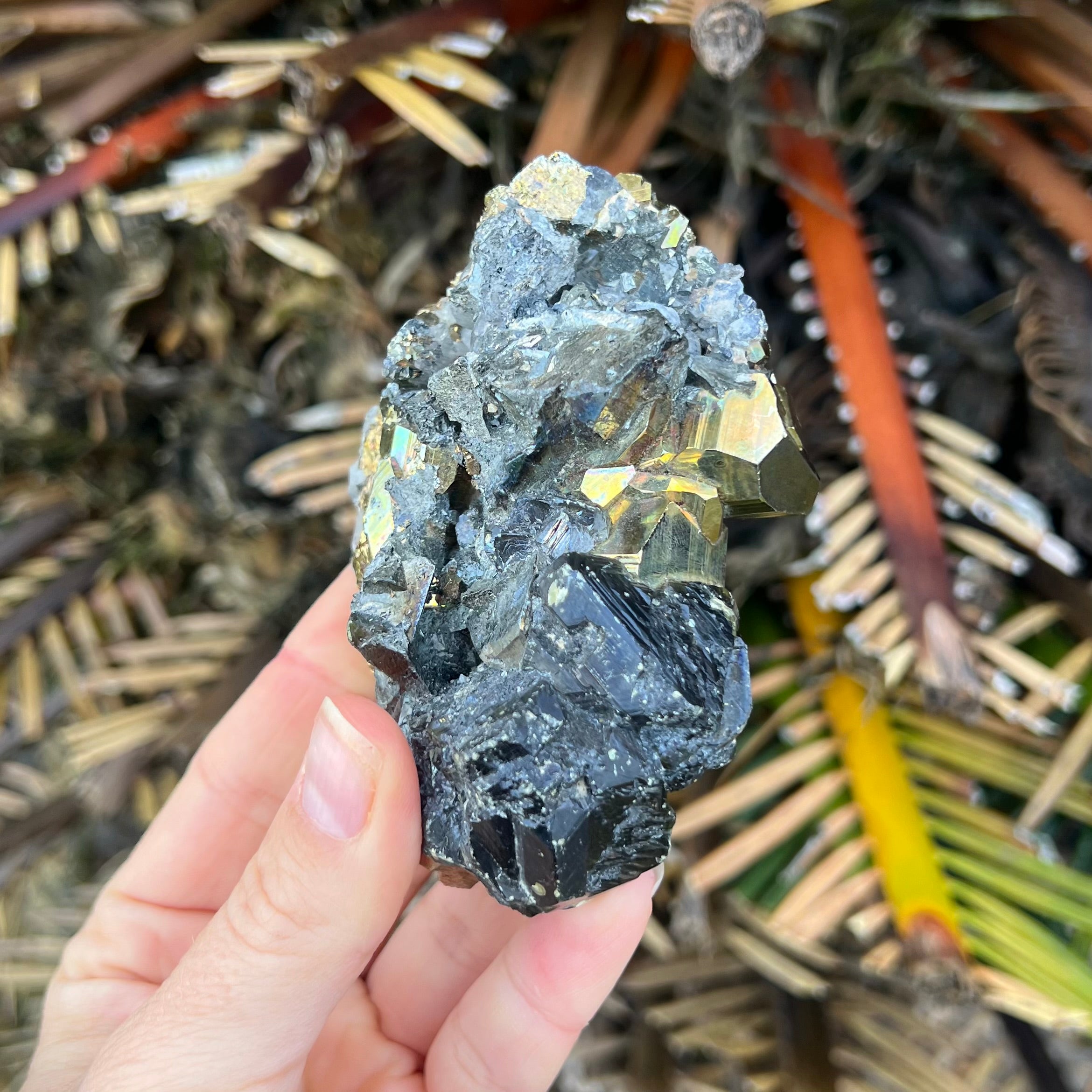 Galena with Pyrite