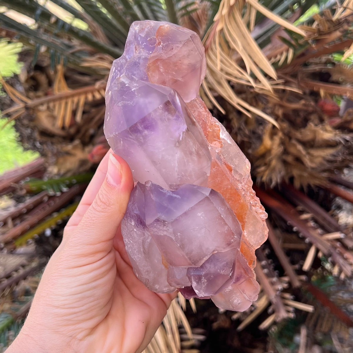 Amethyst Cluster on Stand