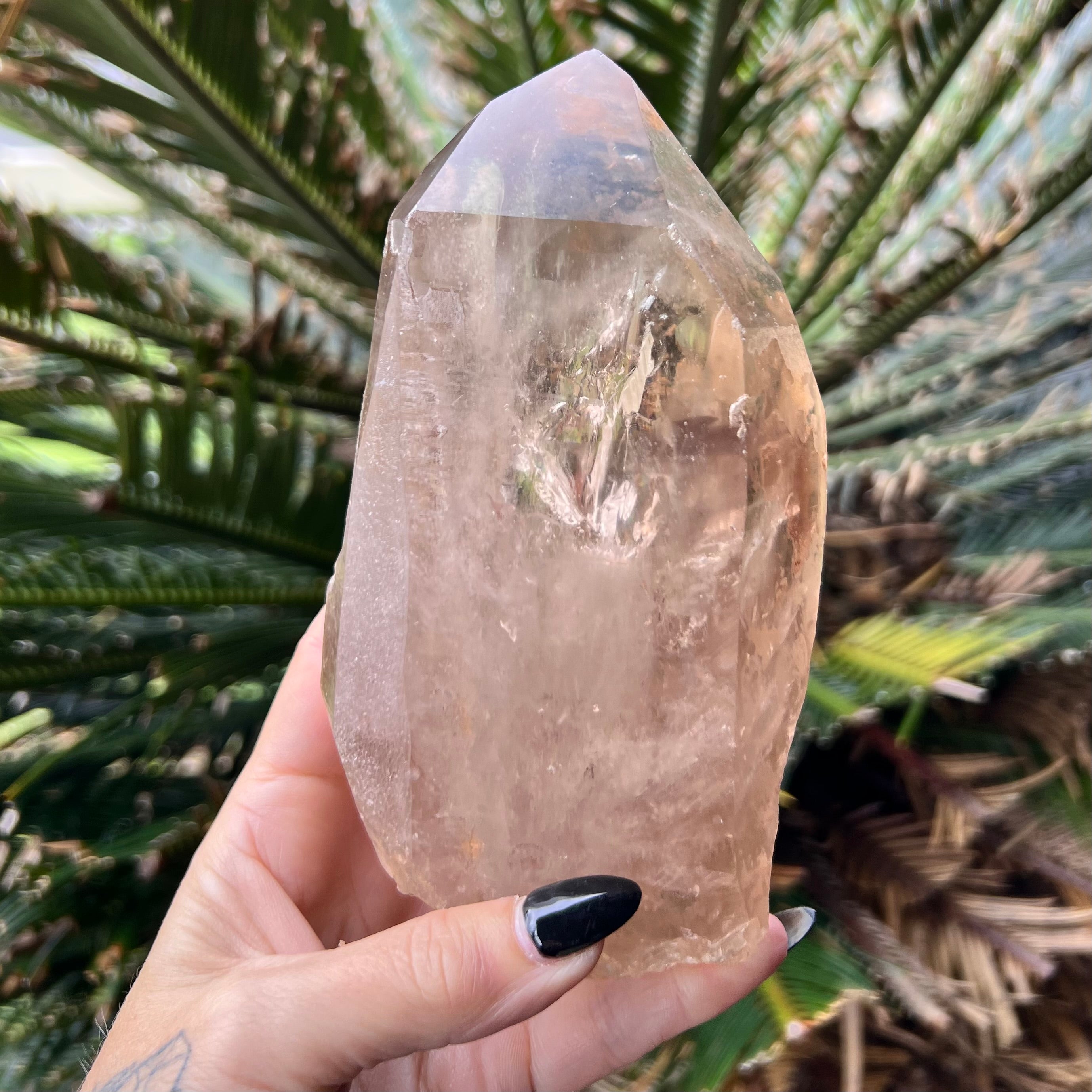 Sensational Citrine Semi Raw Point