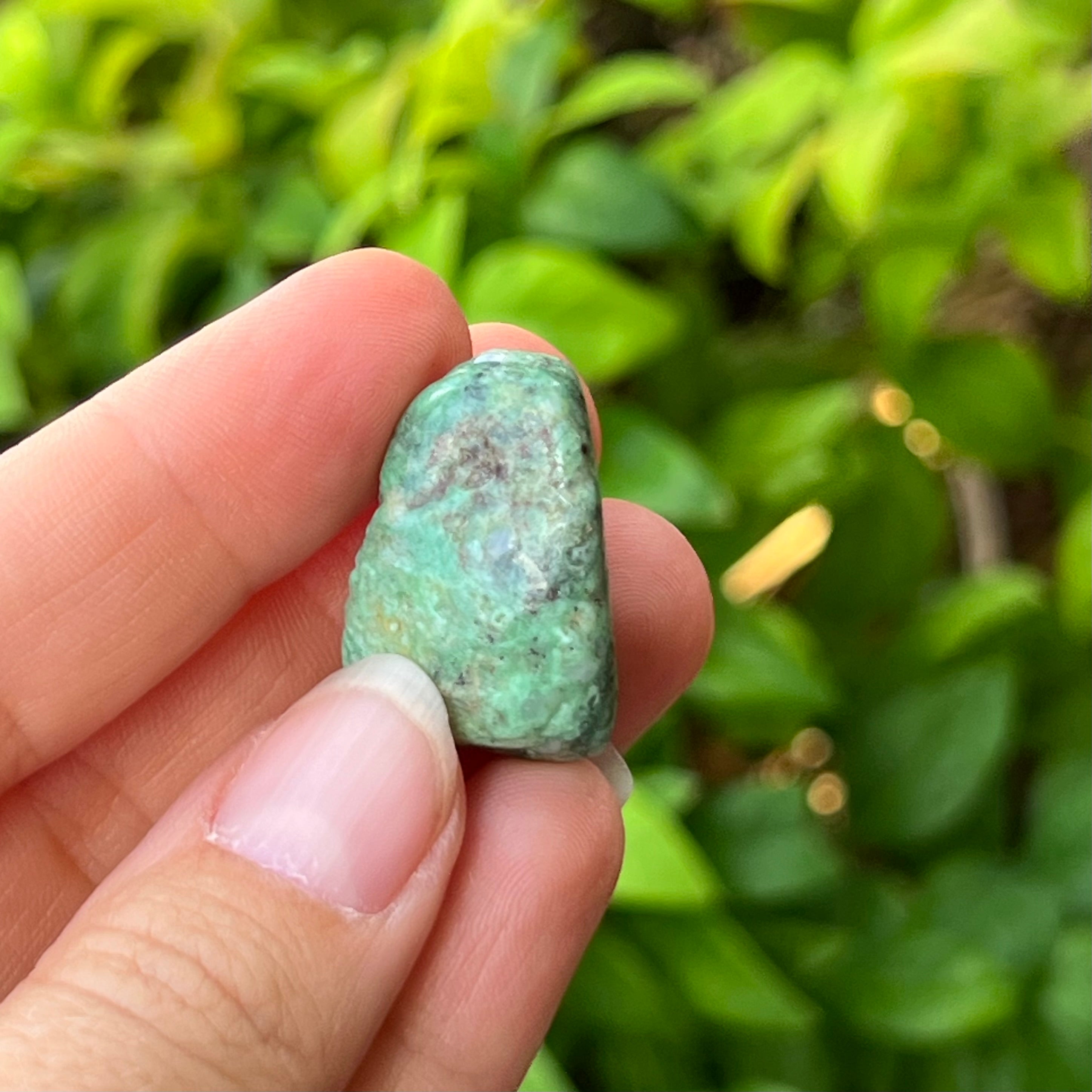 Variscite ~ Specialty Boxed Crystal