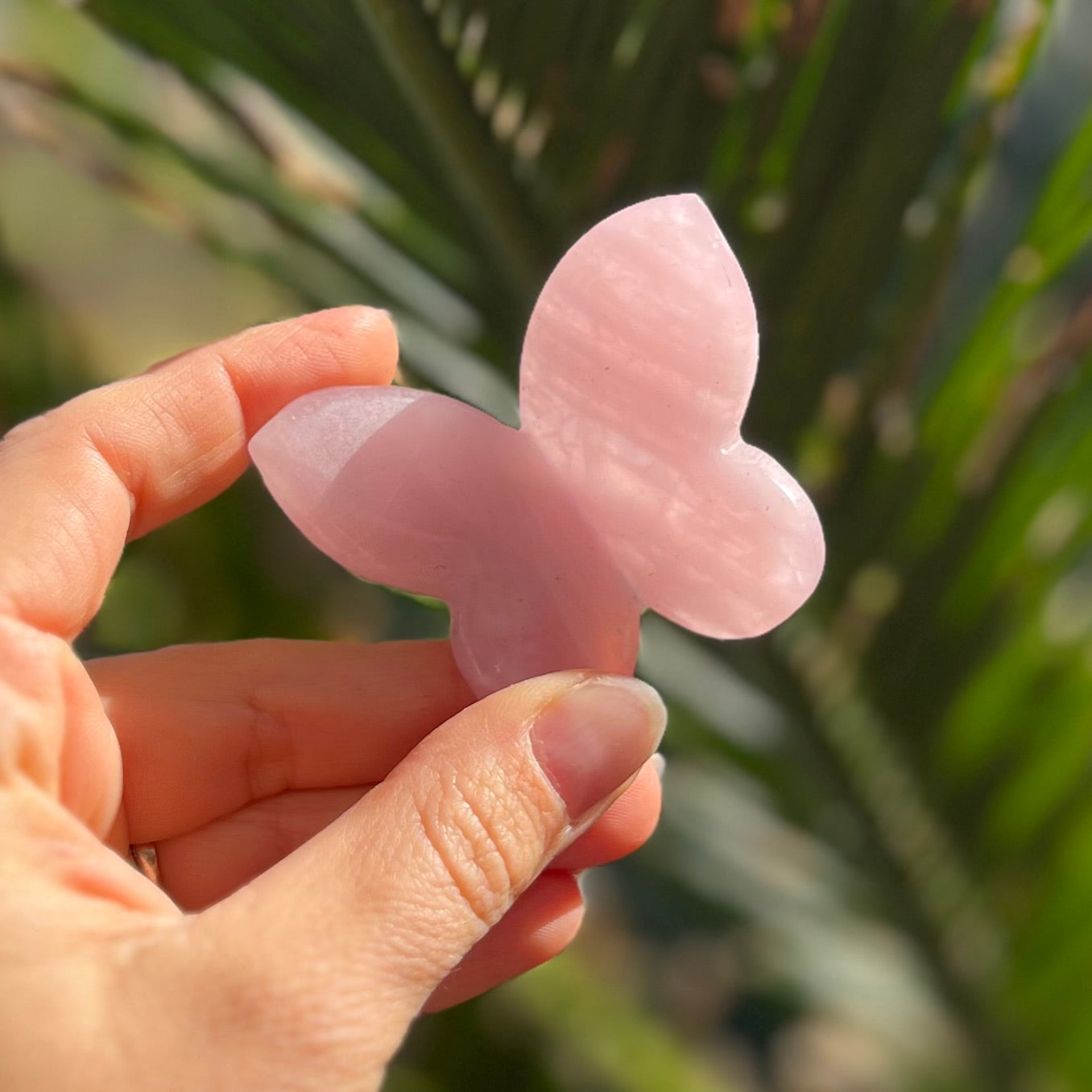 Rose Quartz Butterfly Carving