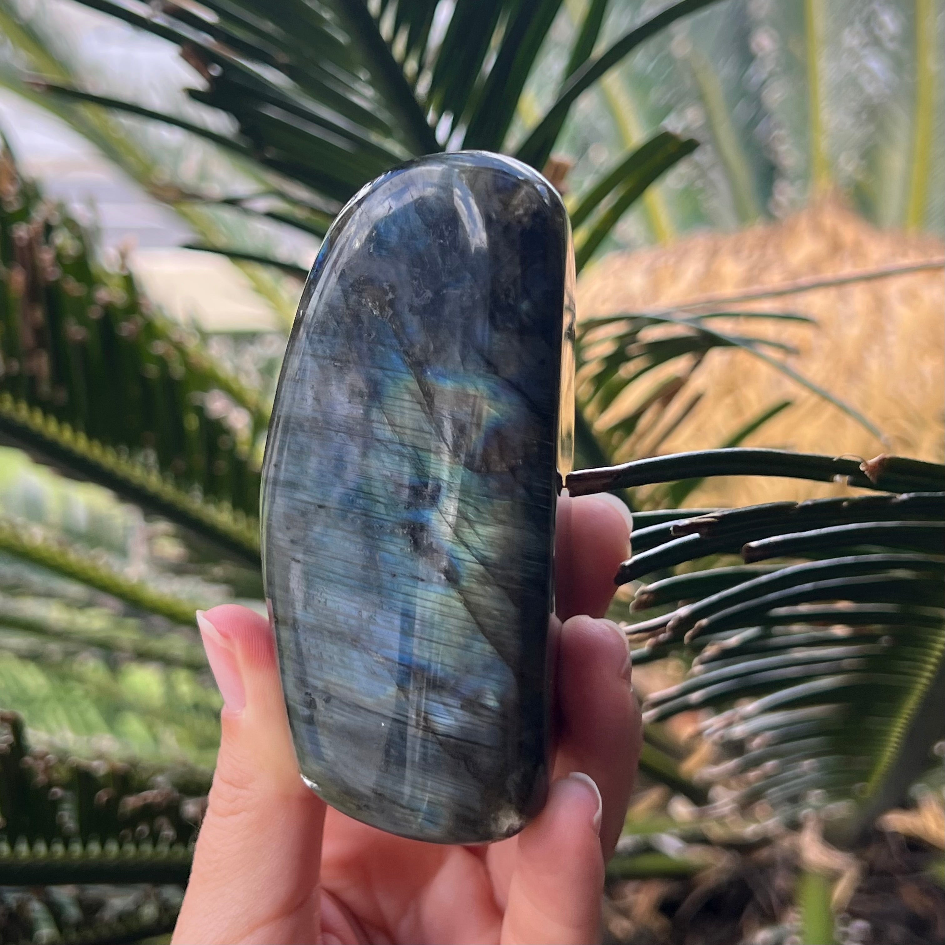 Labradorite Freeform