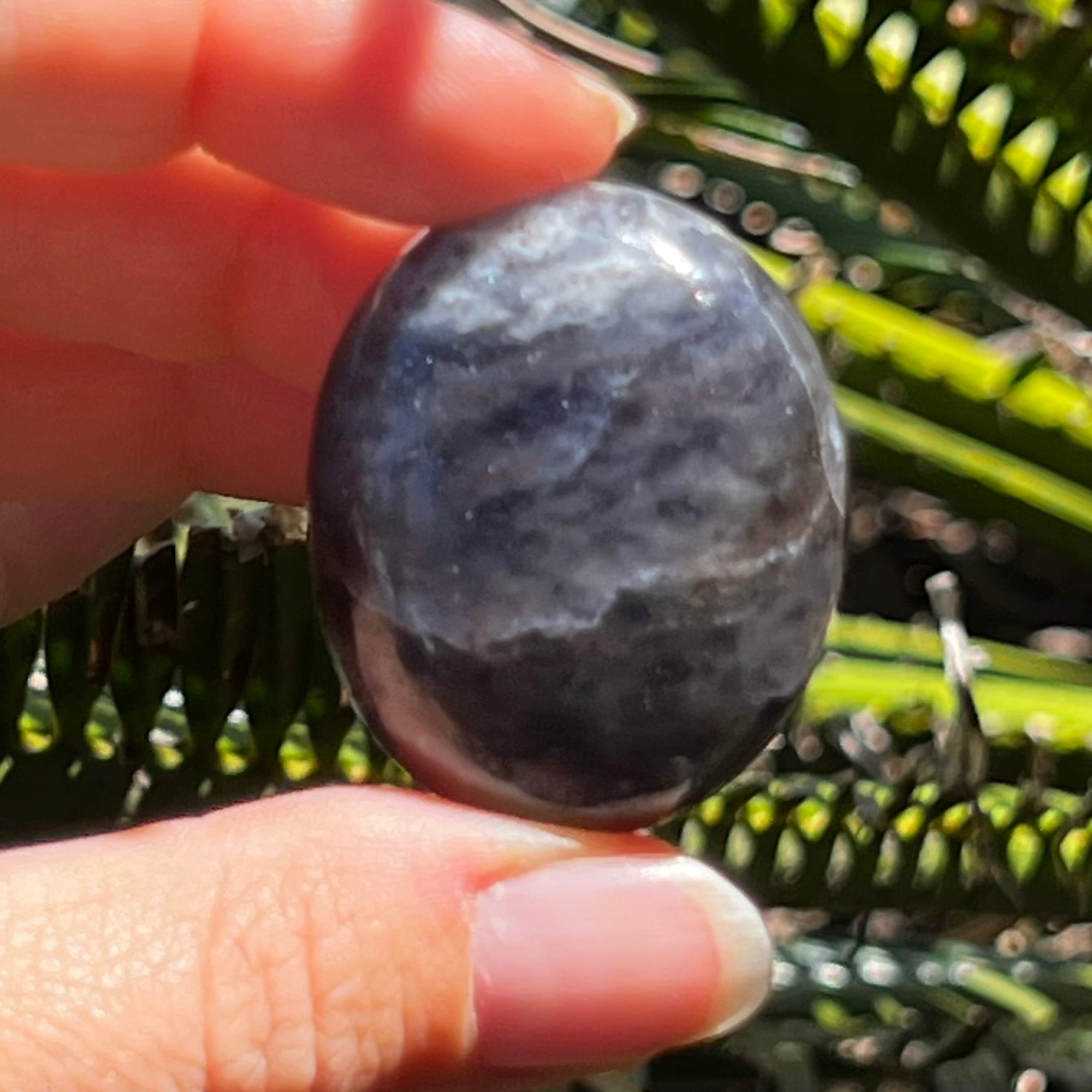 Iolite Palm Stone ~ 1