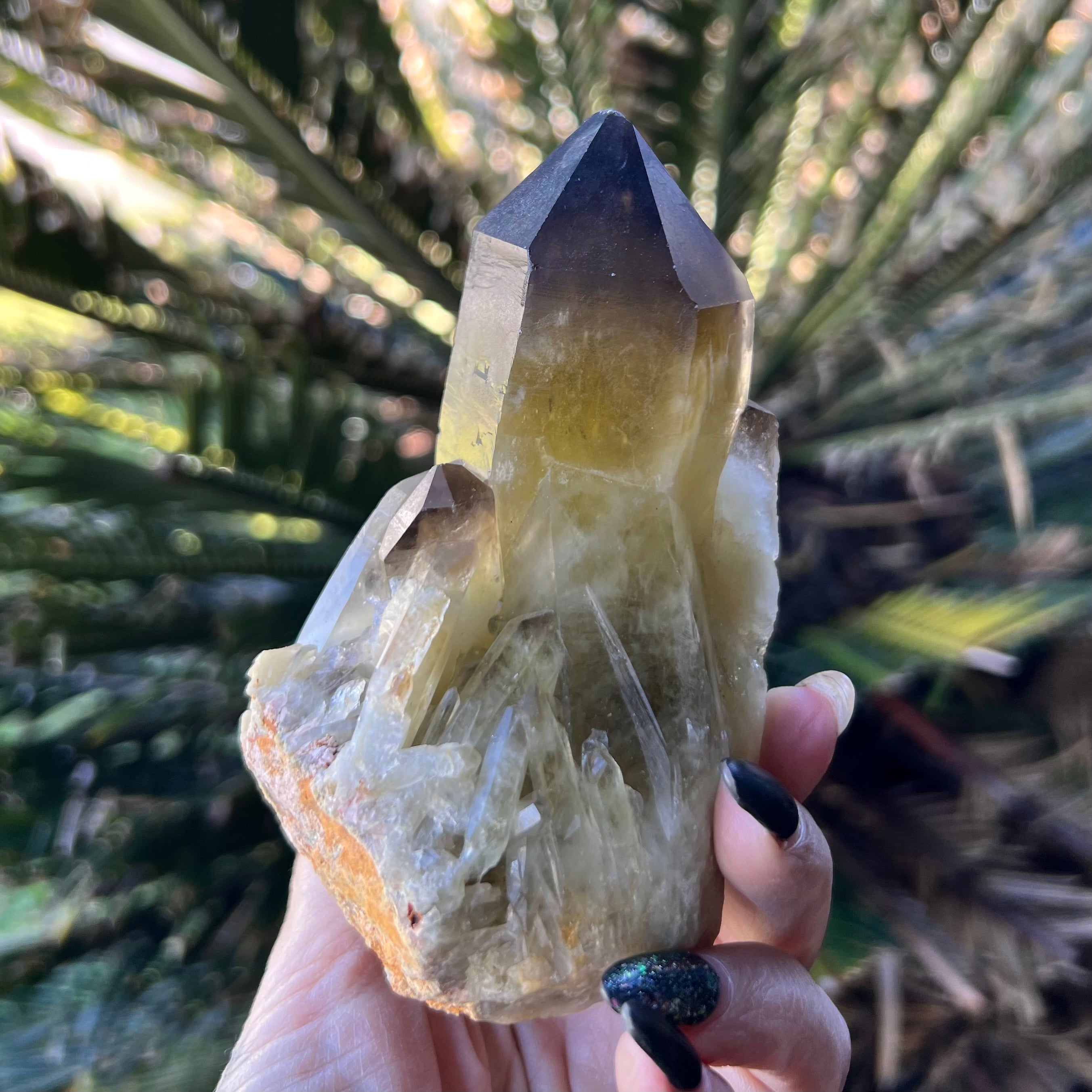 Smoky Citrine ~ Raw Point with Clusters