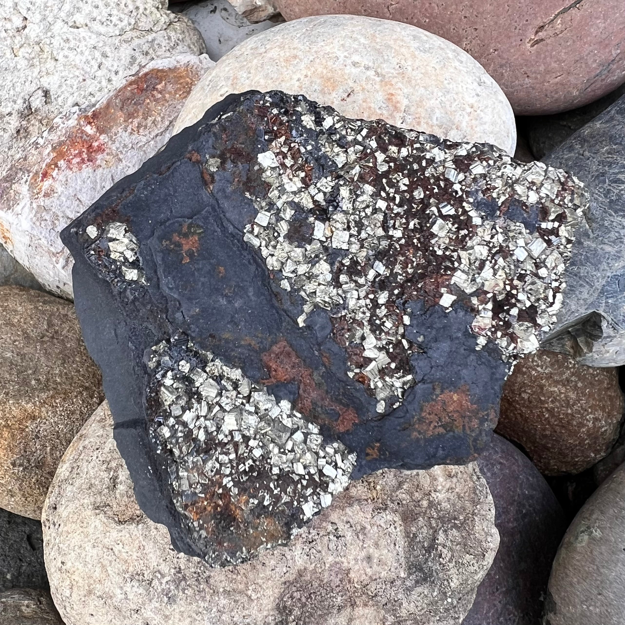 Pyrite in Shungite Specimen
