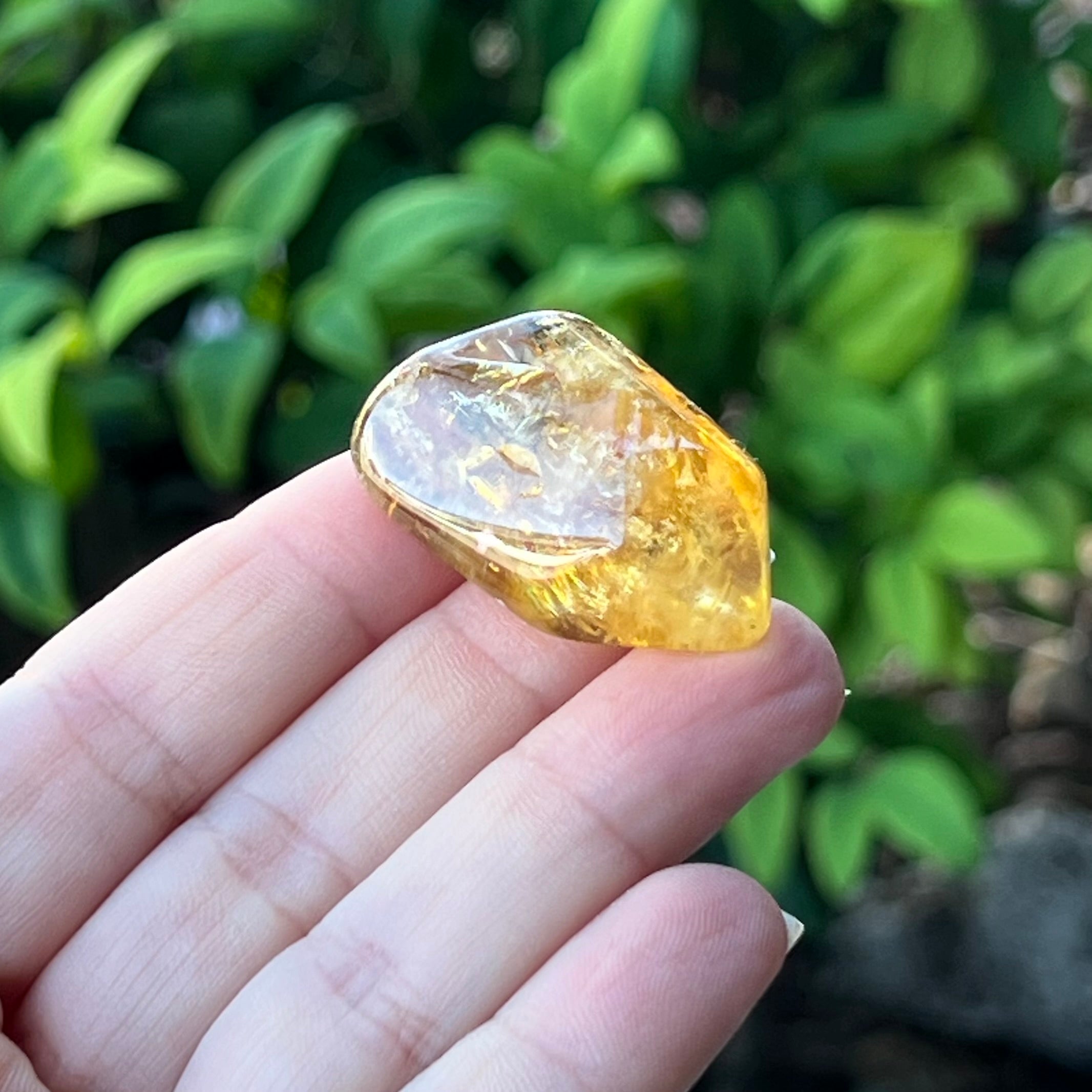 African Citrine ~ Specialty Boxed Crystal