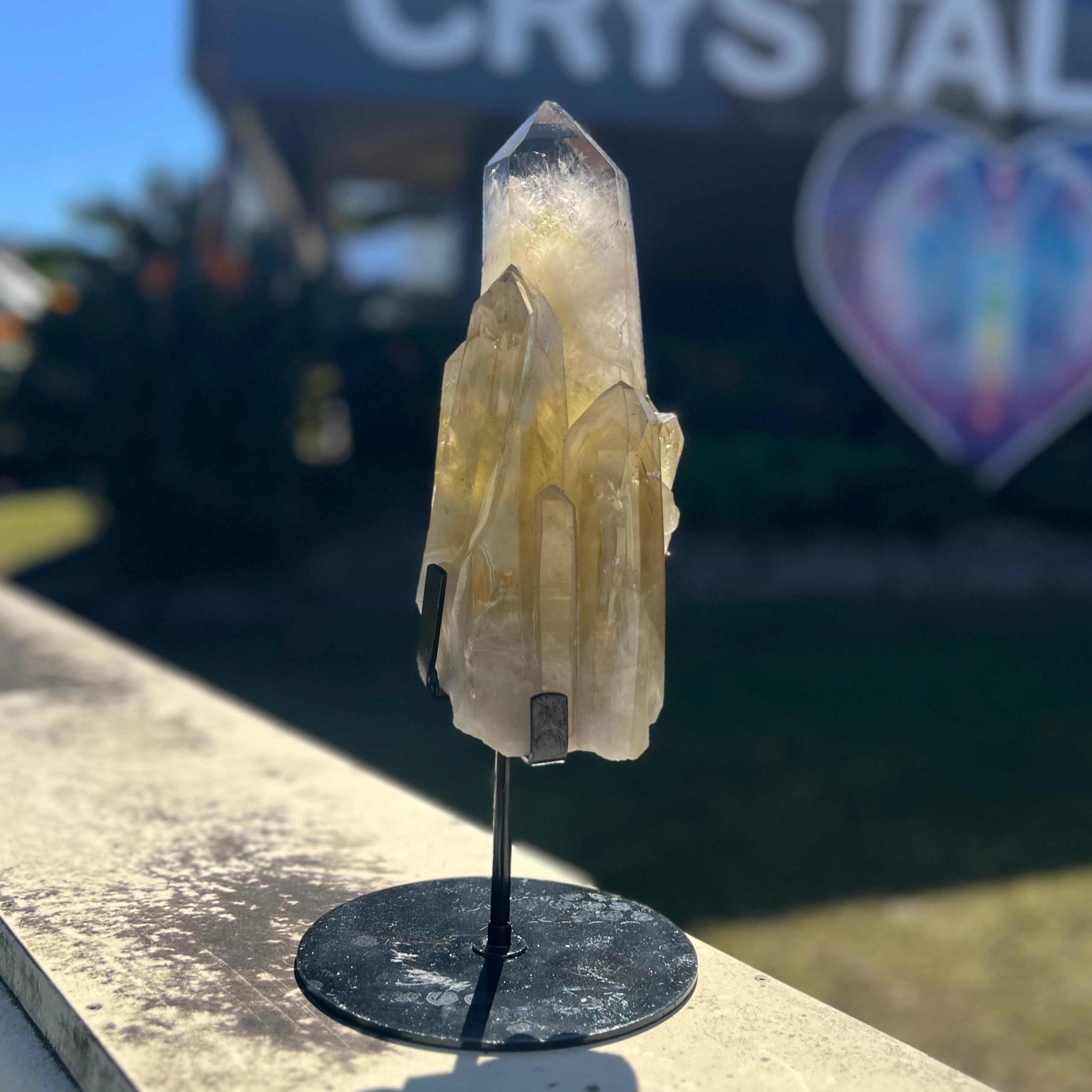 Spectacular Citrine Point Cluster on Stand