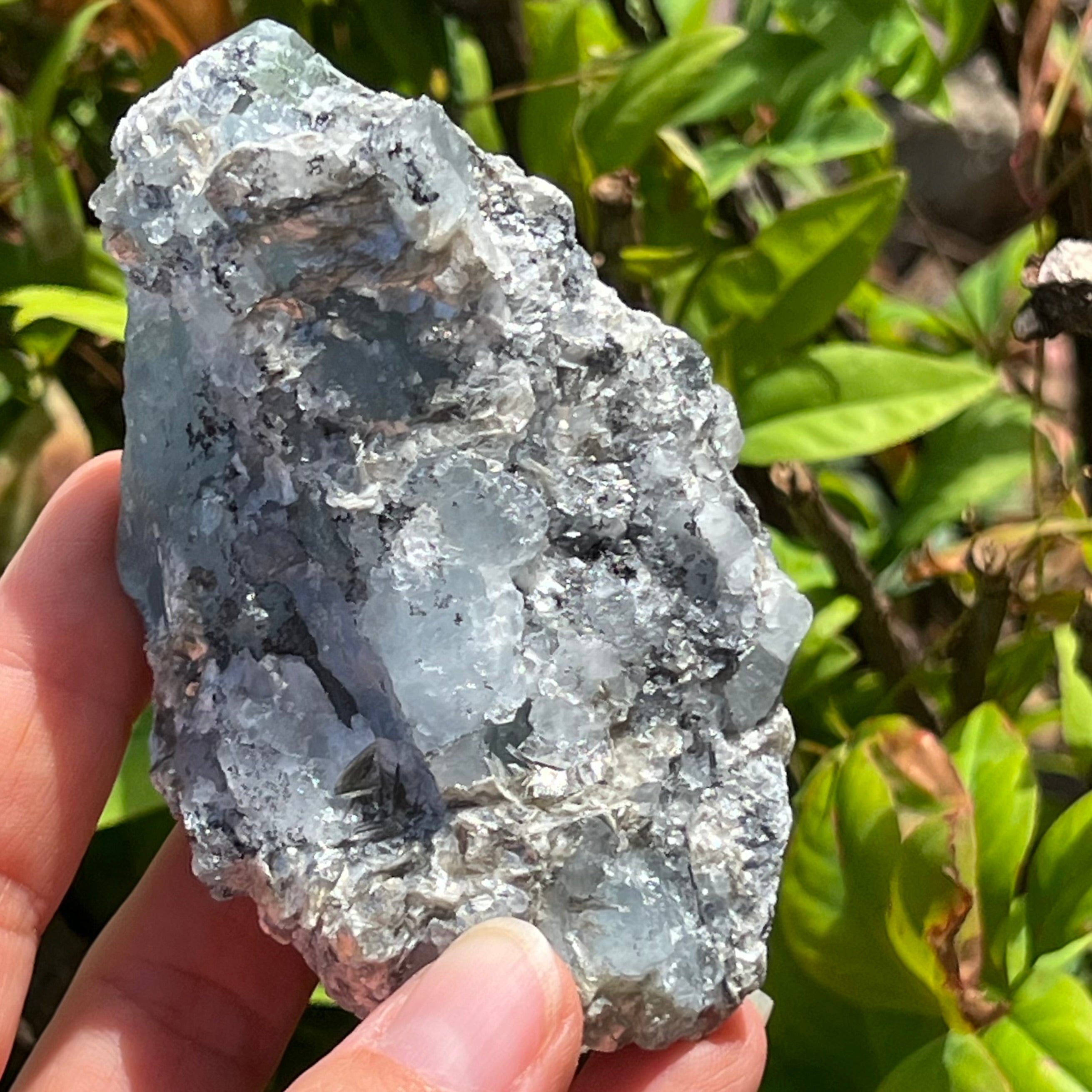 Raw Aquamarine with Mica Specimen